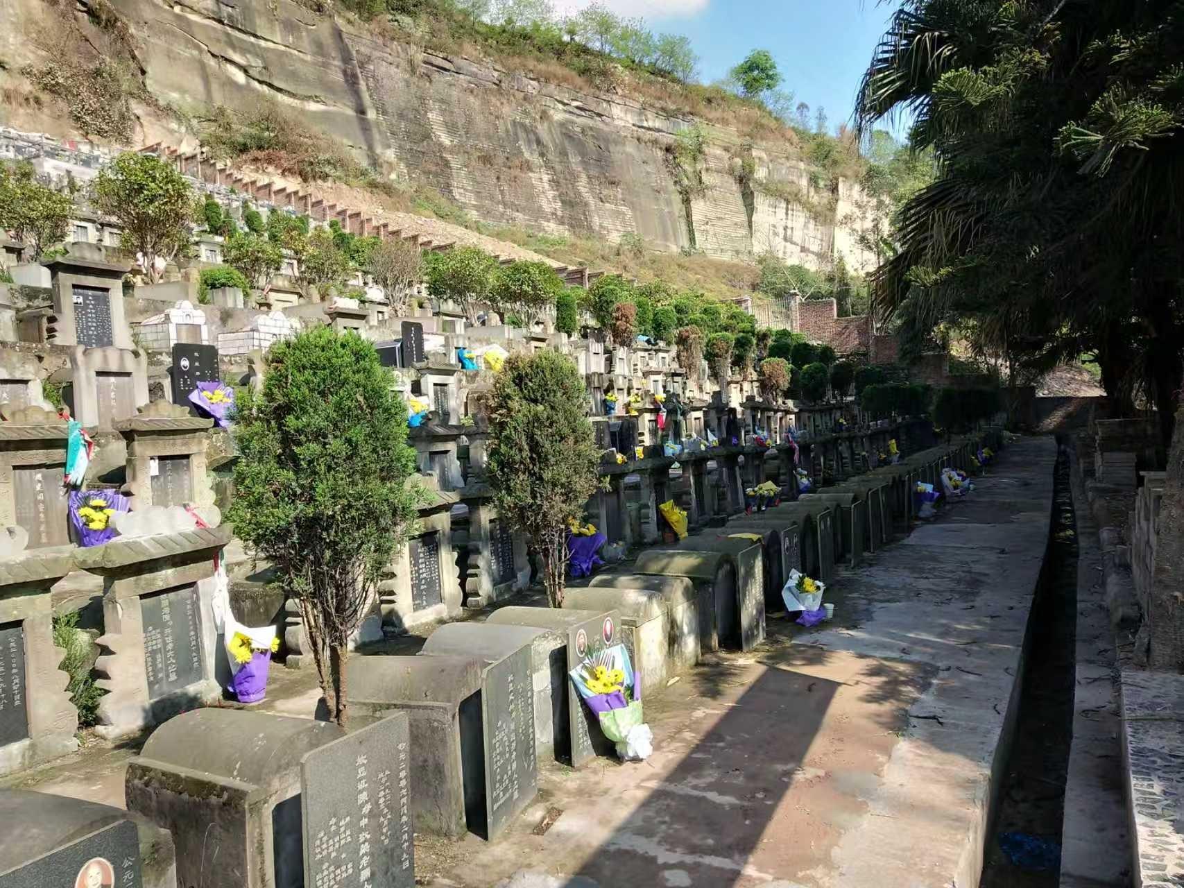 犍为公墓(老墓区)园区图片