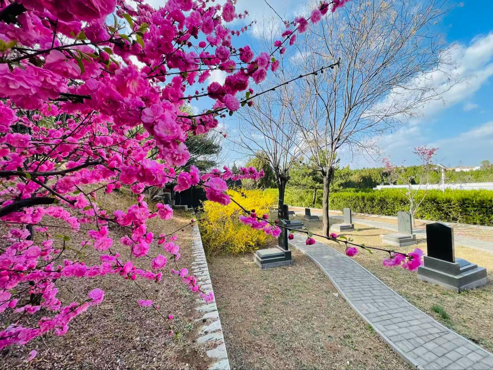 太子峪陵园园区图片