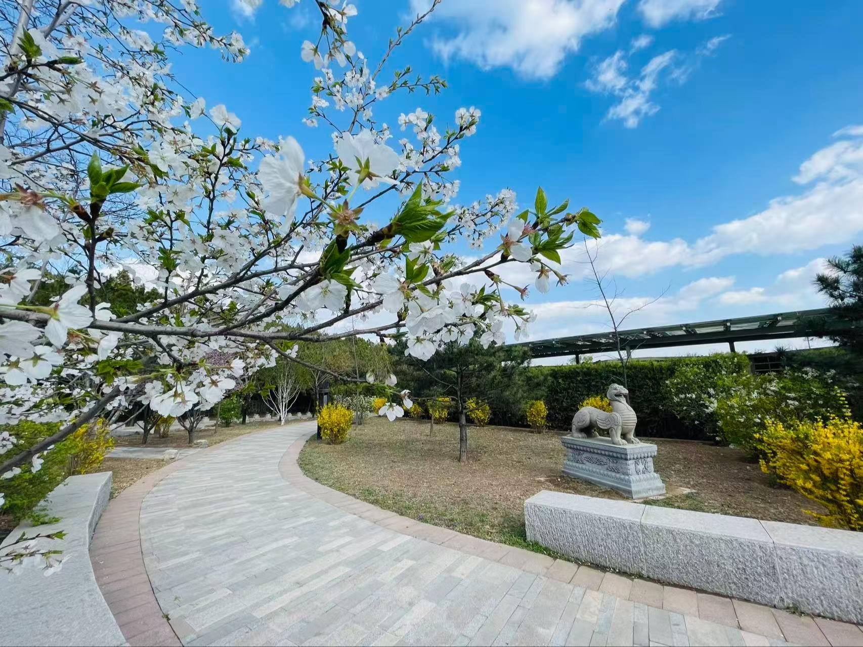 太子峪陵园园区图片