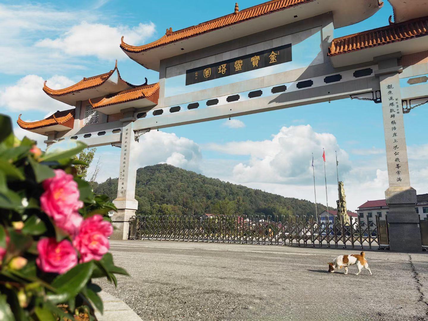 湖南娄底金宝灵塔园开发有限公司园区图片