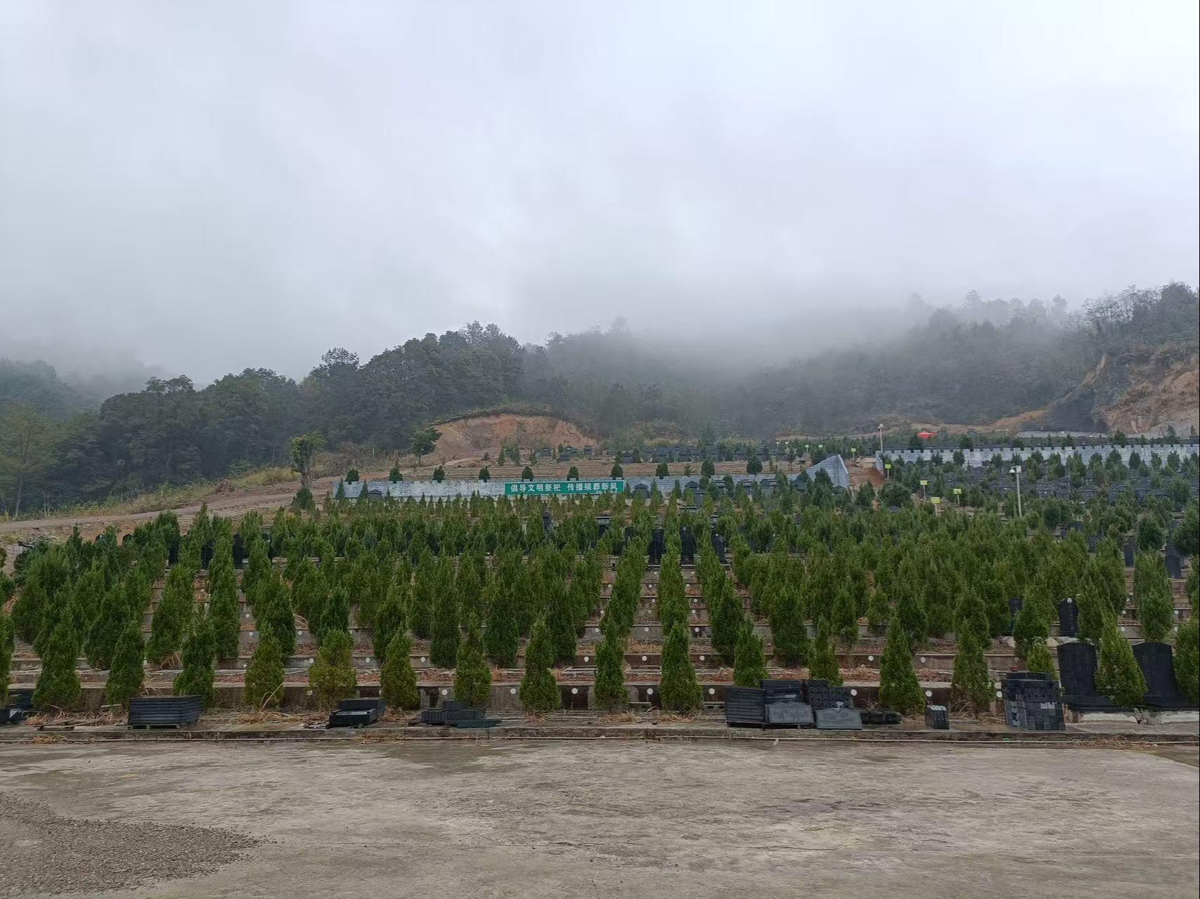 荔波县长宁山购墓有限公司园区图片