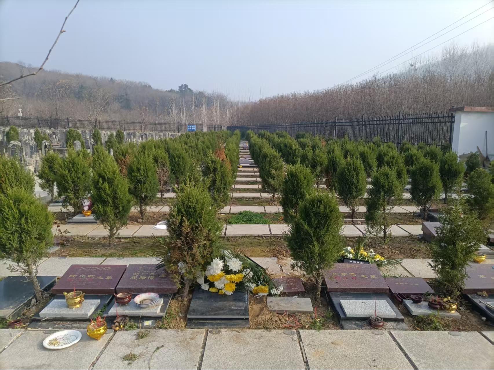 寿县北山陵园园区图片