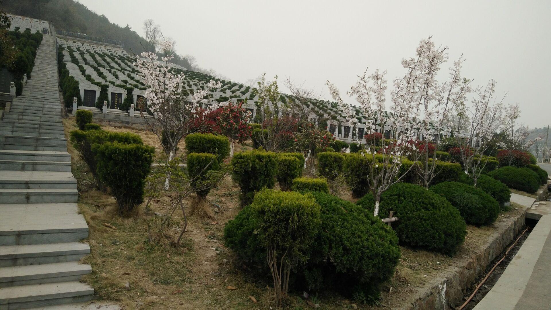 葛羊山陵园园区图片
