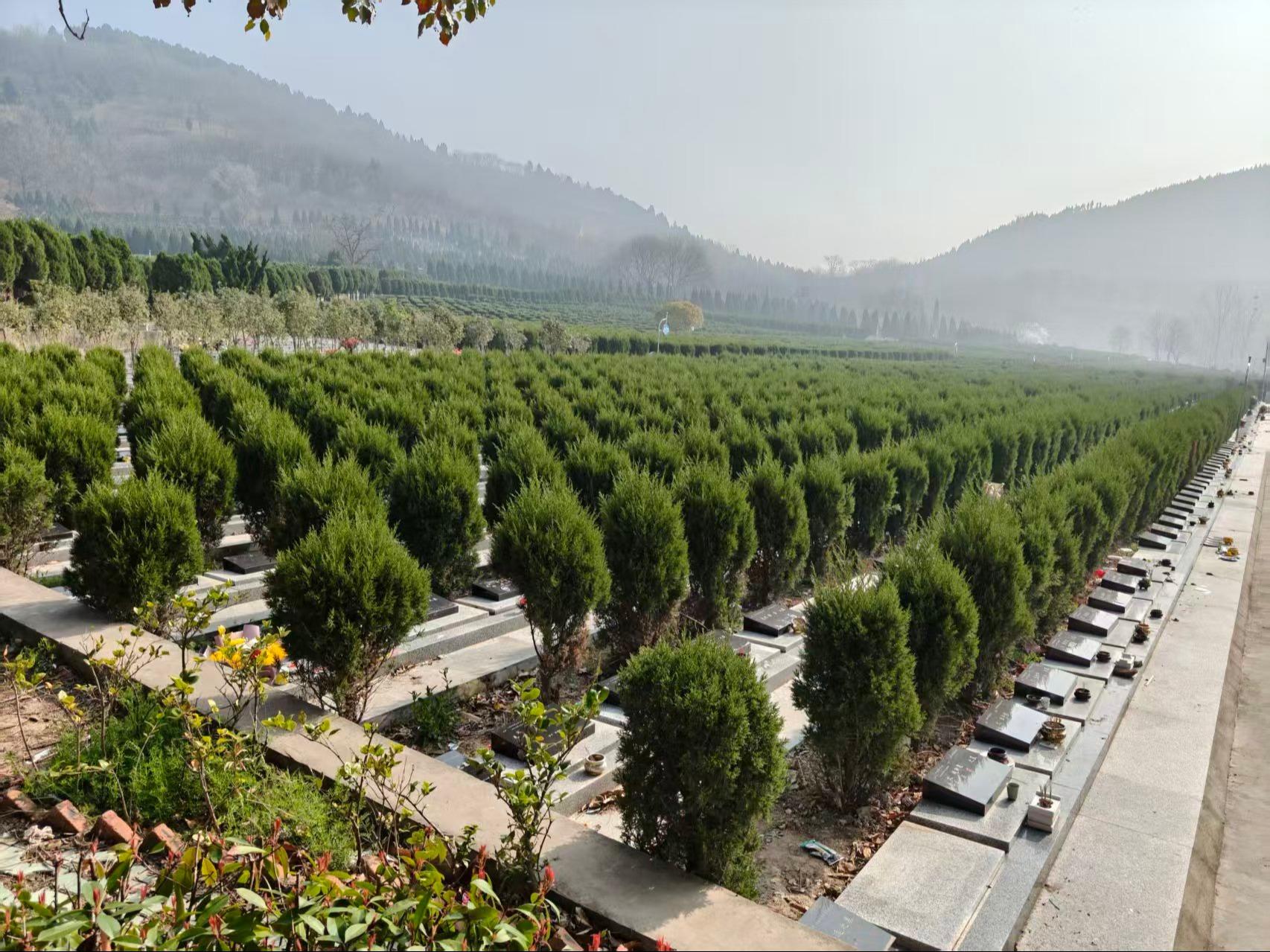 寿县八公山公墓园区图片