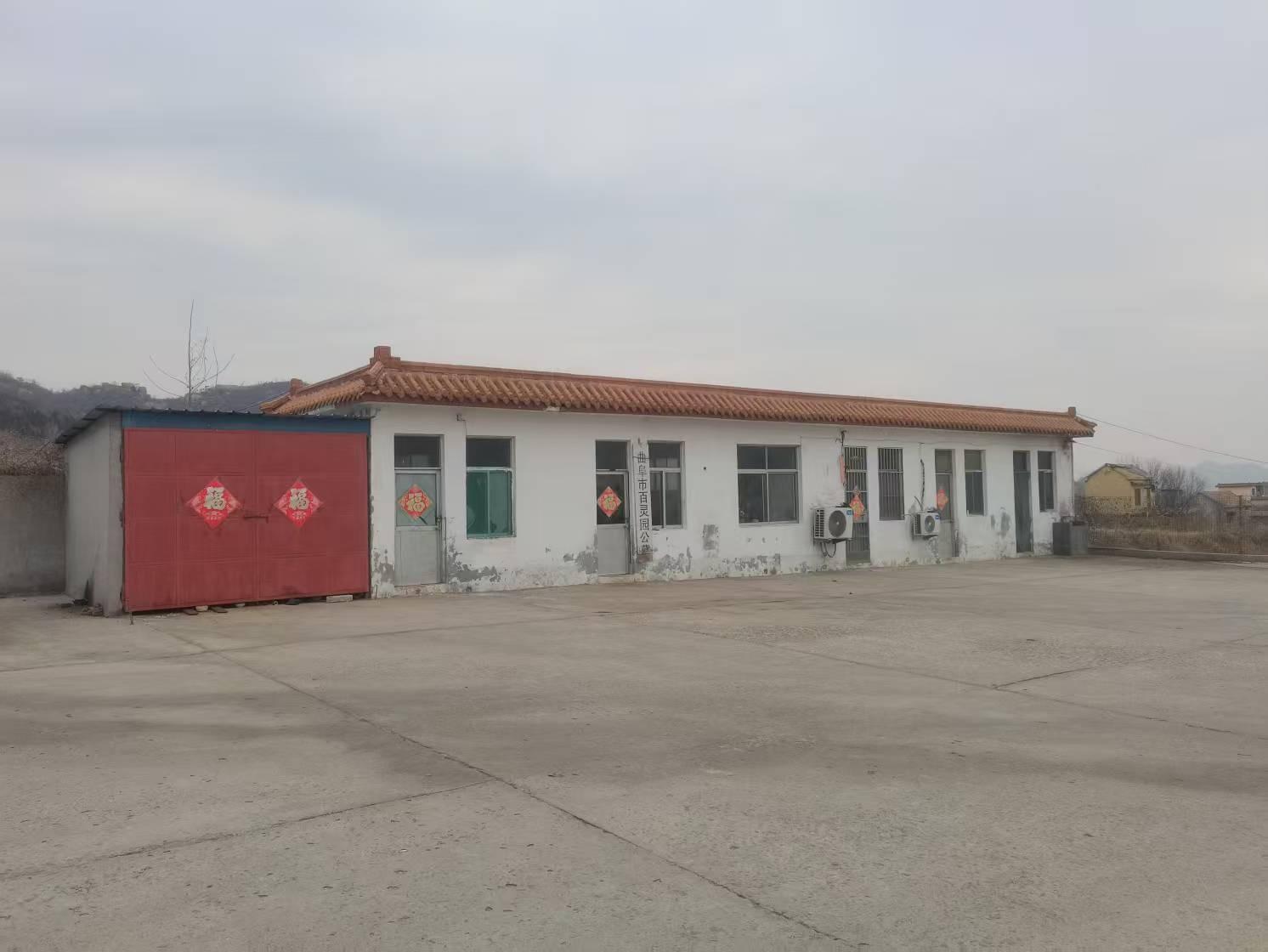 曲阜市华夏圣地公益事业有限公司（曲阜市百灵园）园区图片