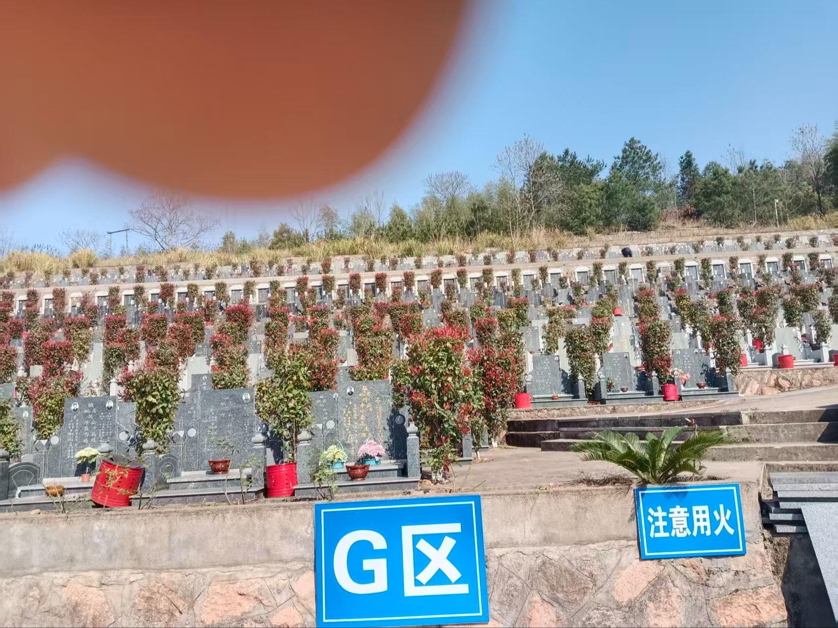 光泽县天园发展有限公司园区图片