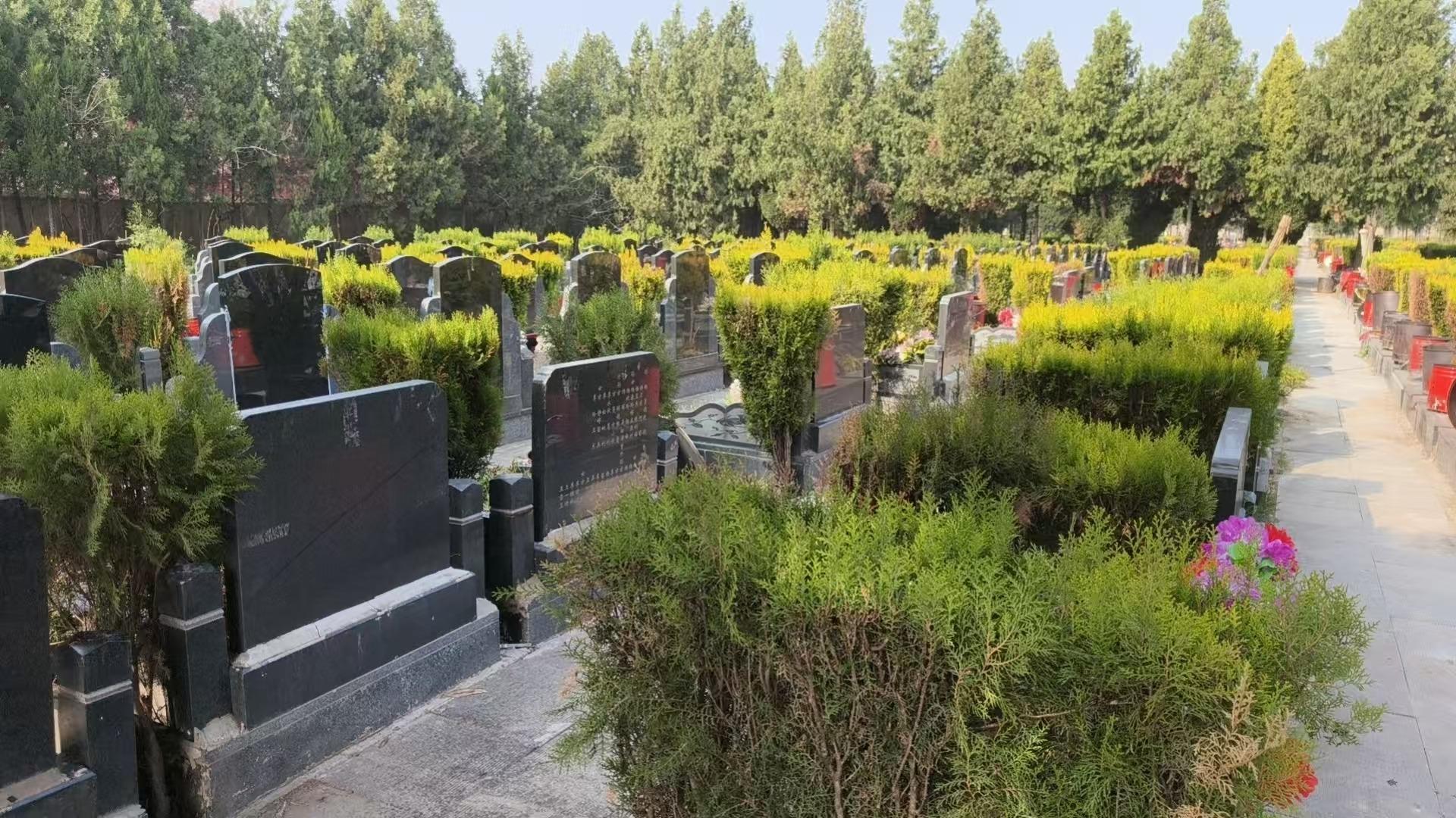 谯城区天堂宫陵园(普通合伙)园区图片