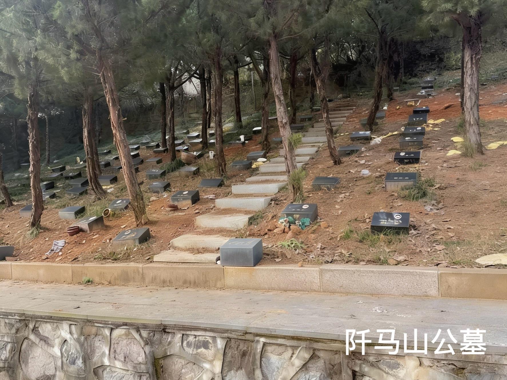 阡马山公墓园区图片
