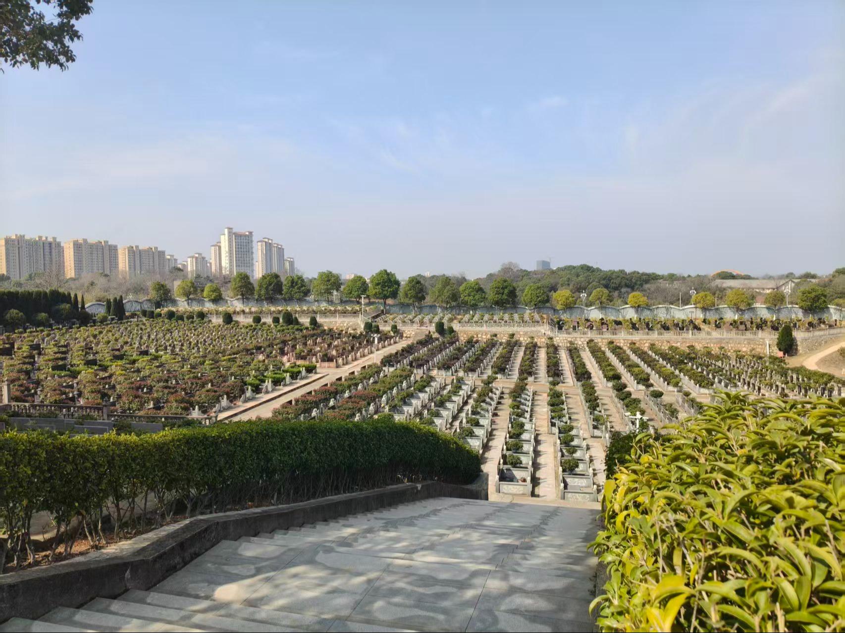永修县殡葬事业服务中心含笑园公墓园区图片