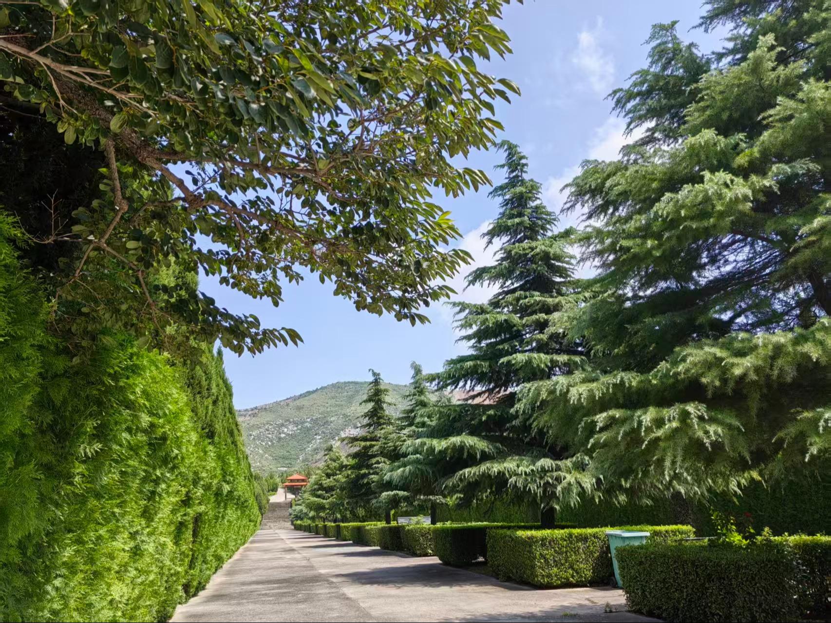 卫辉市西山生态园林陵园龙泉陵园有限公司