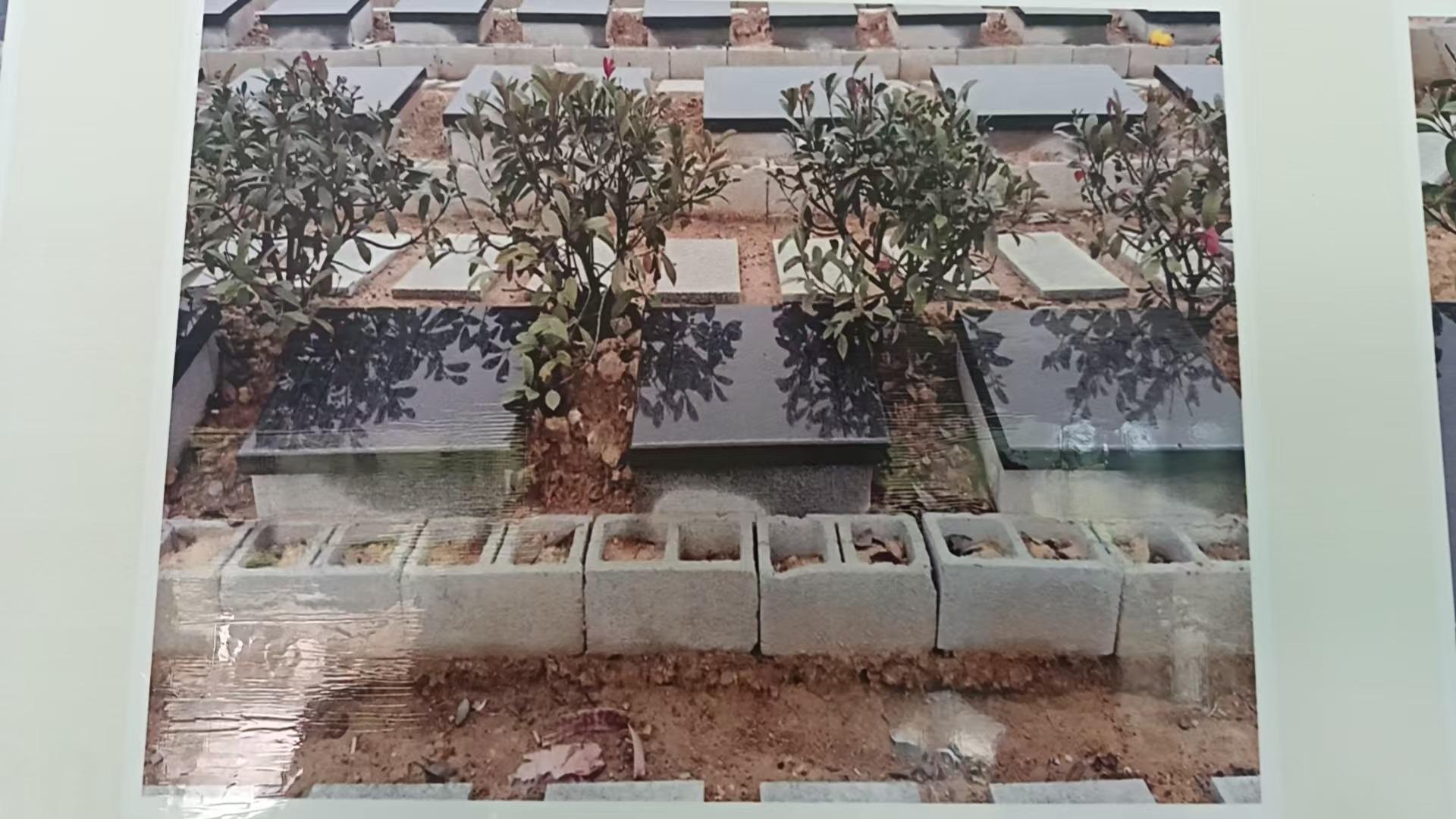 浮梁青龙山公墓园园区图片