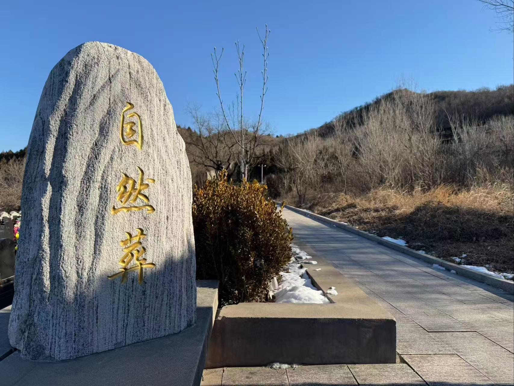 天山陵园园区图片