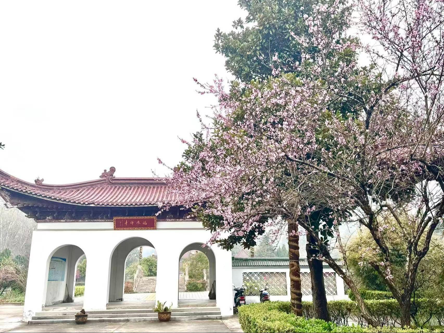 镇江市福承塔园有限公司园区图片