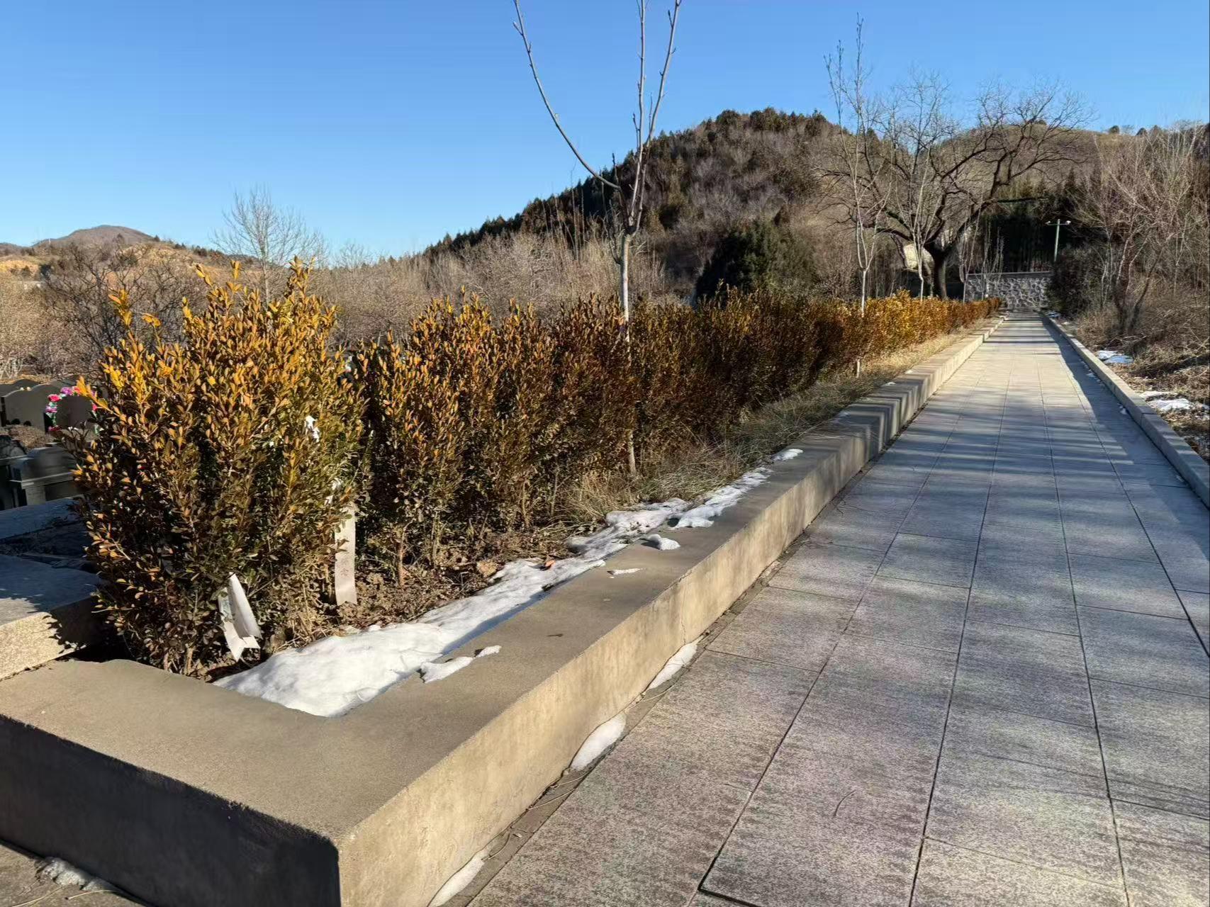 天山陵园园区图片