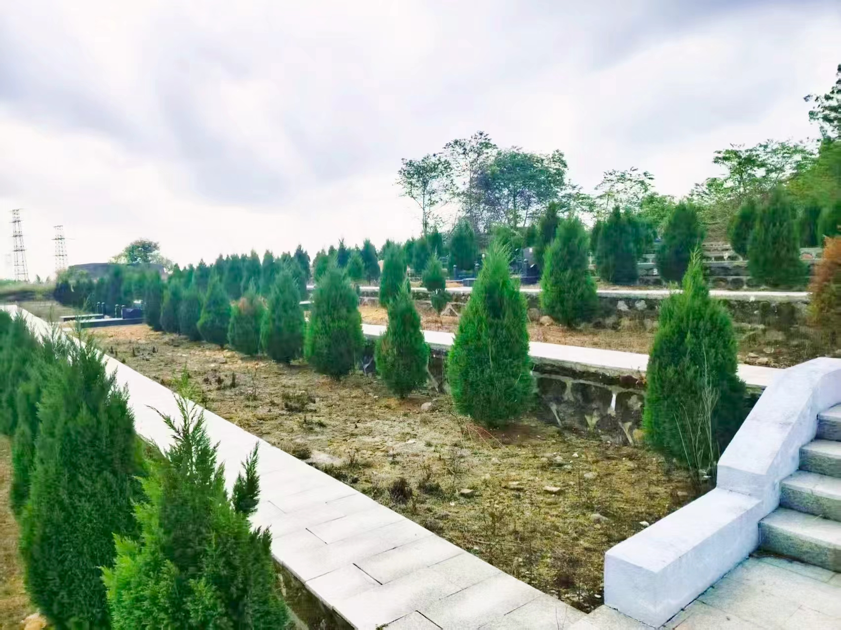 海南鑫龙经济建设有限公司园区图片