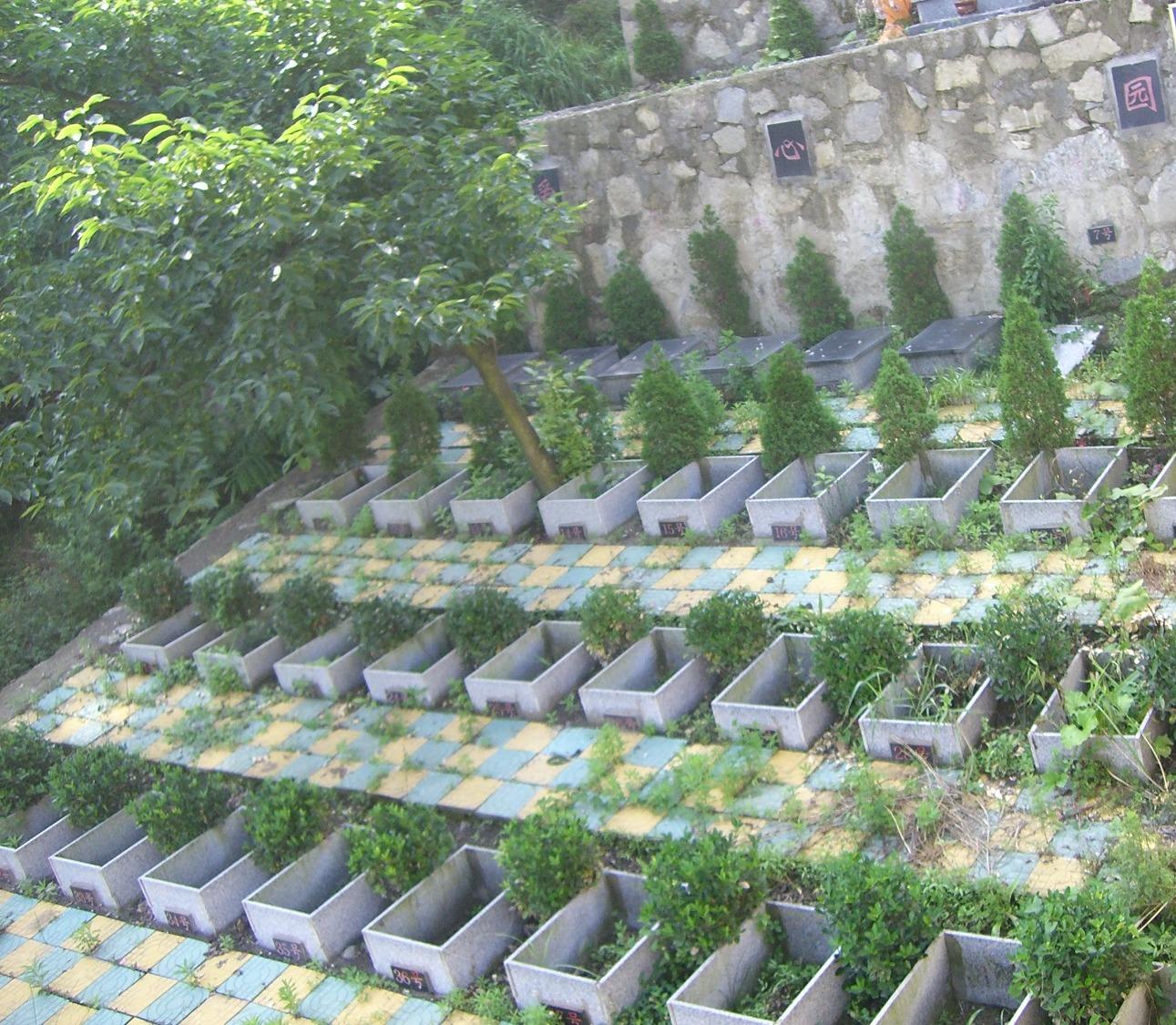 万佛山陵园园区图片