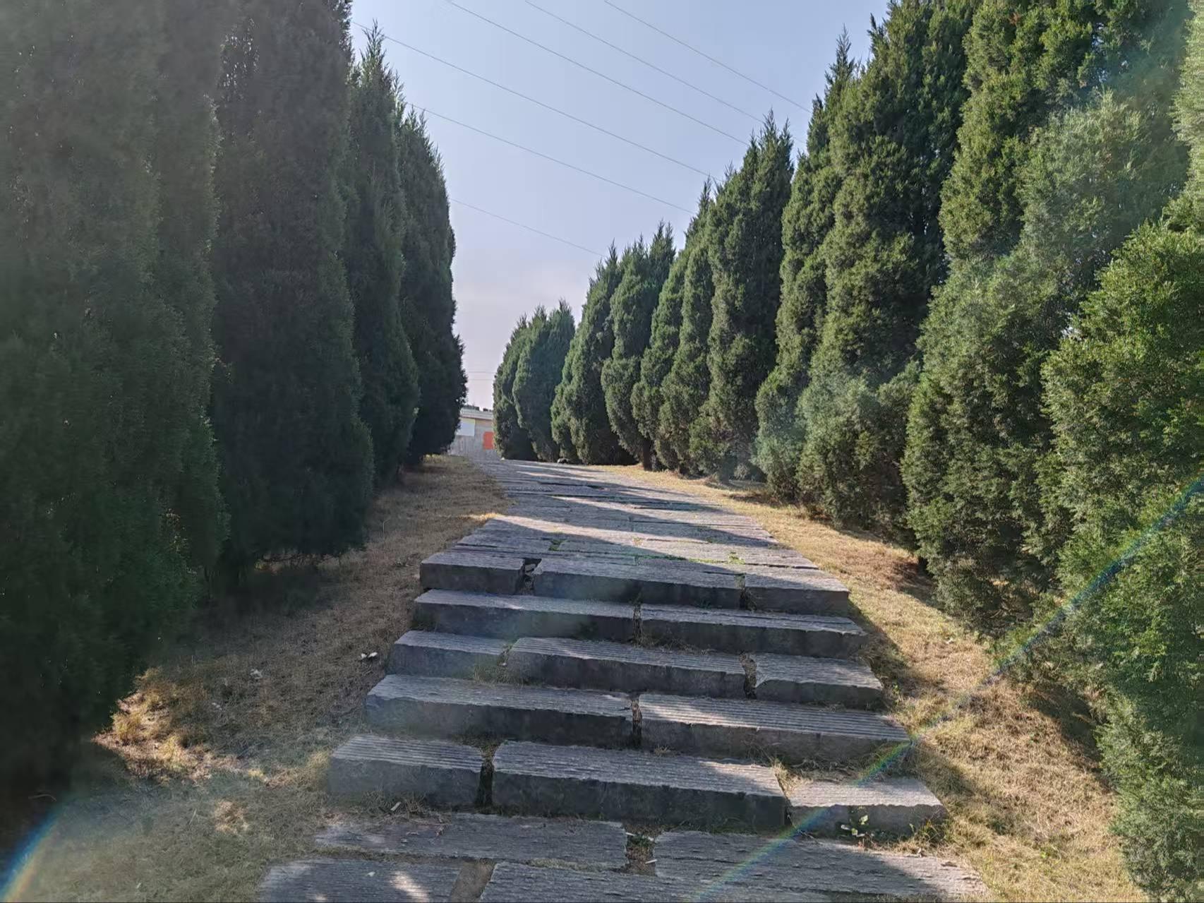 云盘山公墓园区图片