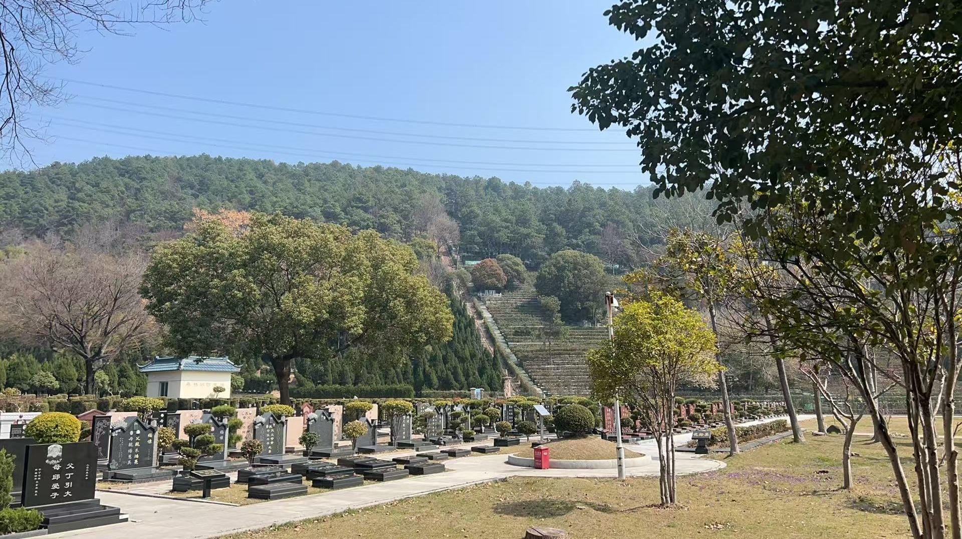 苏州市吴中区胥口镇胥陵文化有限公司新麓分公司园区图片