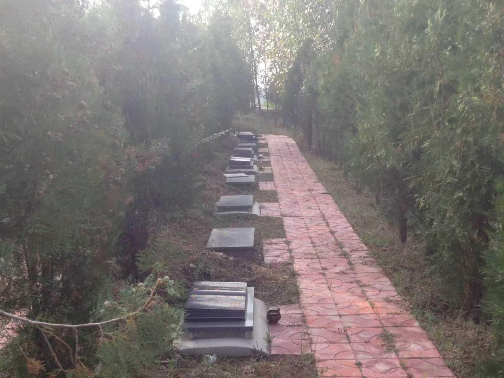 松鹤园树葬公墓园区图片