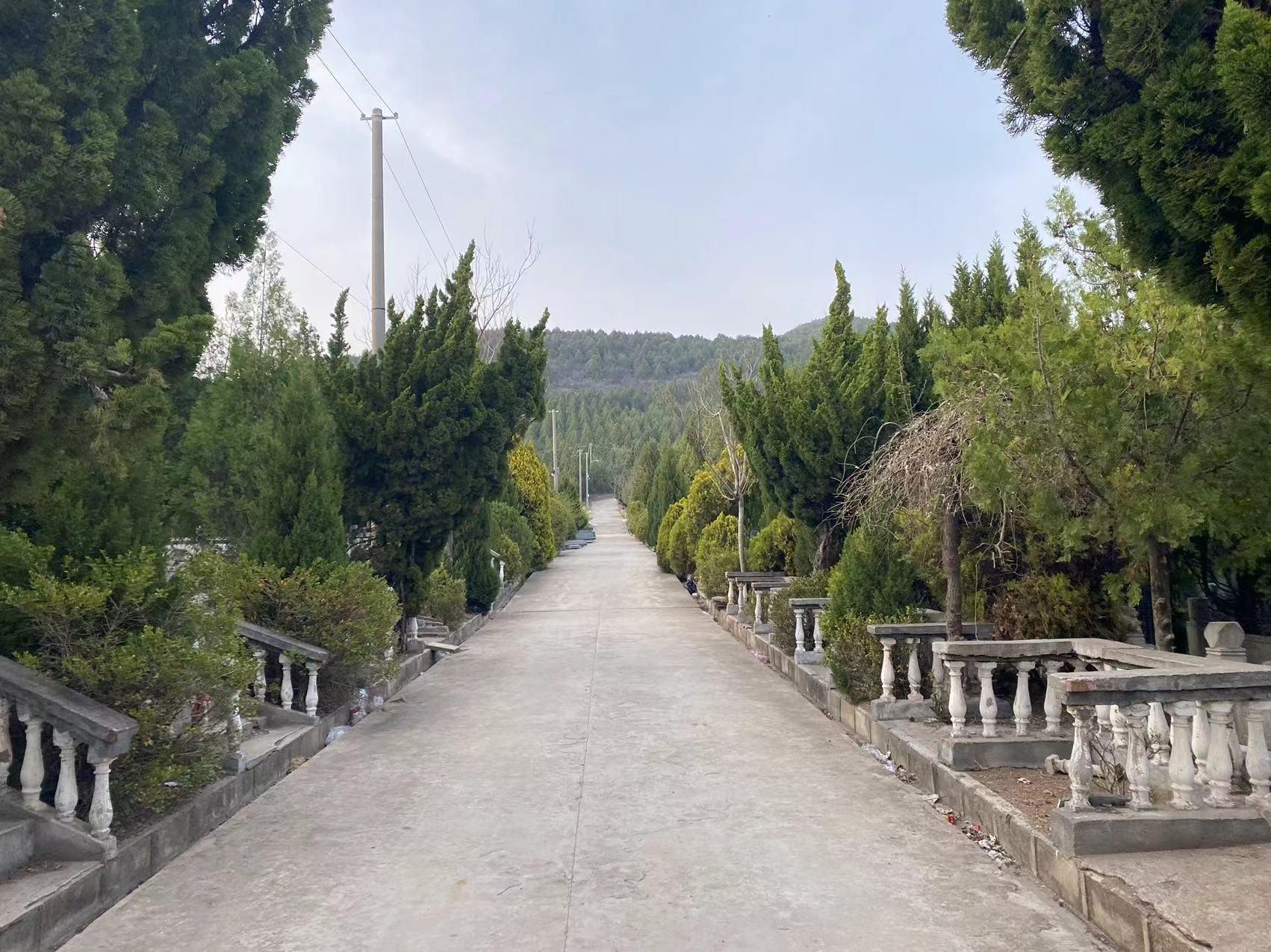 兰陵县文峰山公墓园区图片