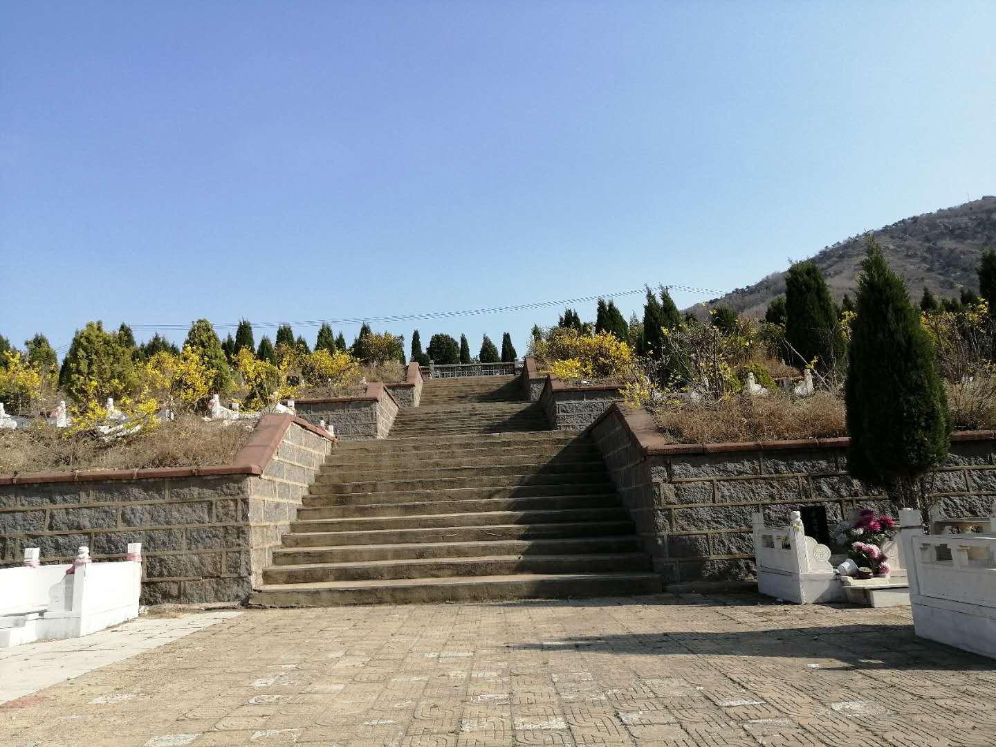 莒县东山公墓园区图片