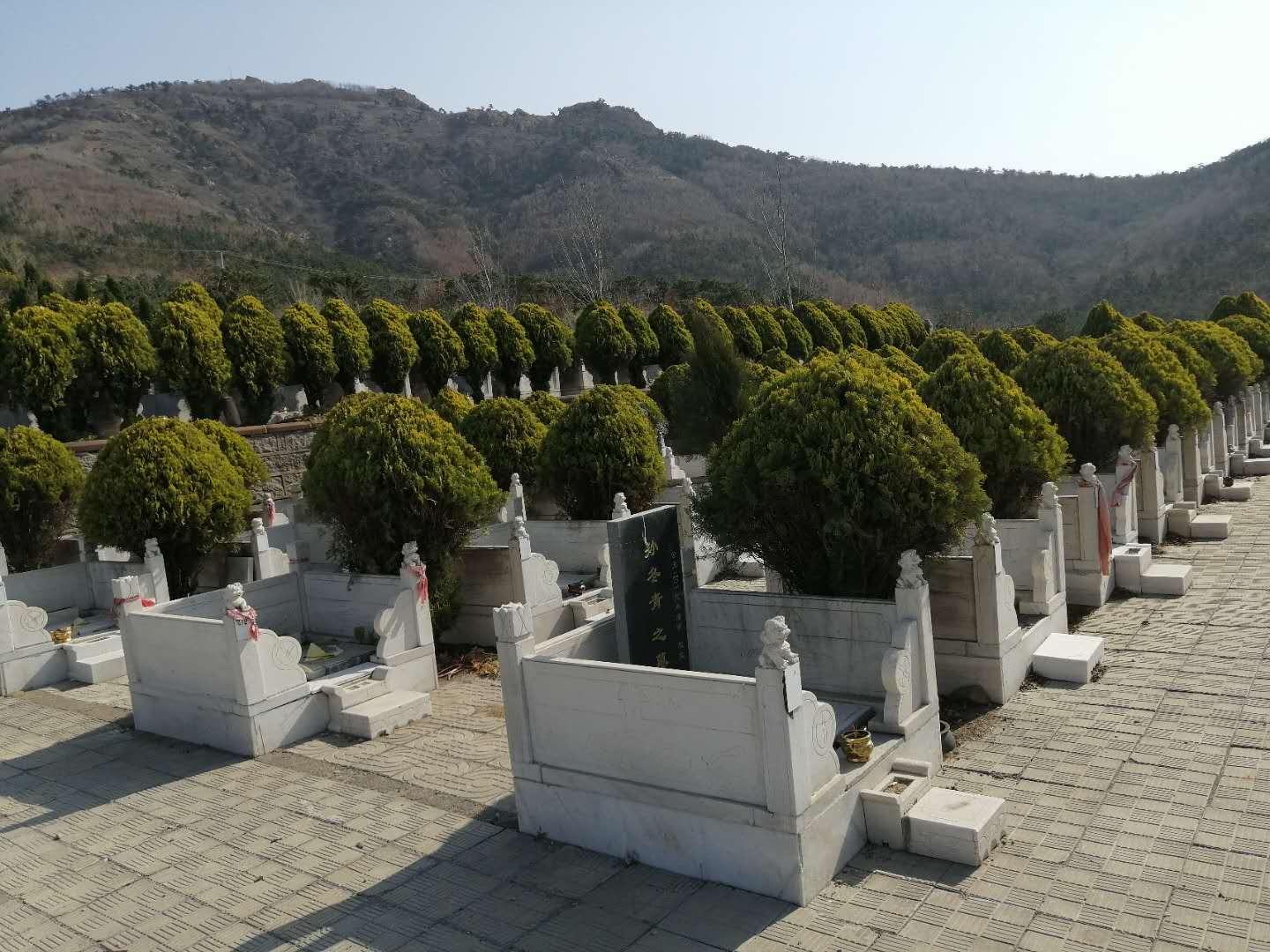 莒县东山公墓园区图片
