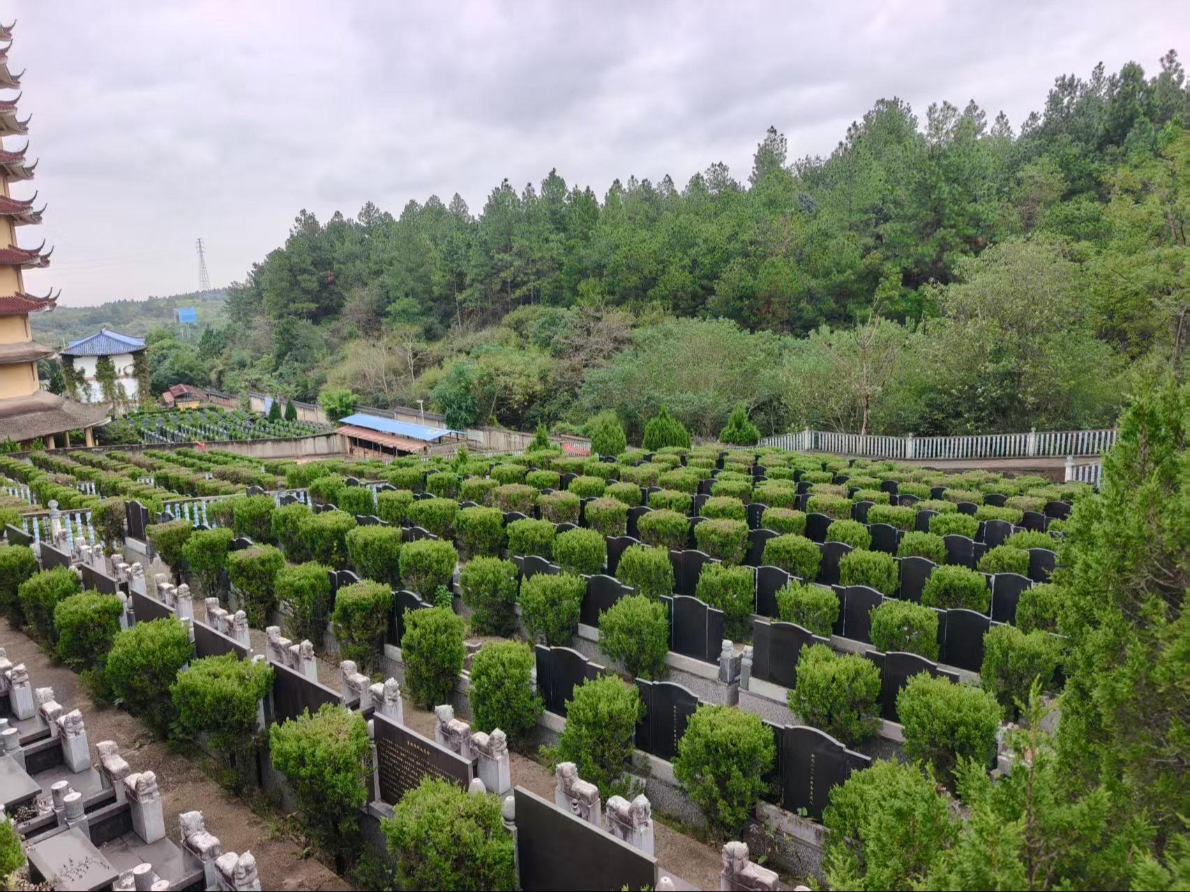 崇岭山公墓园区图片