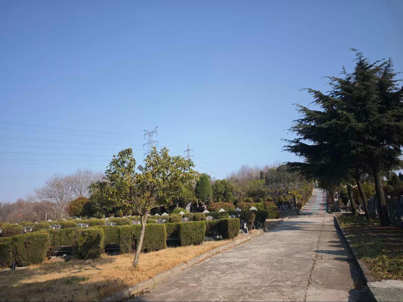 长龙山公墓园区图片