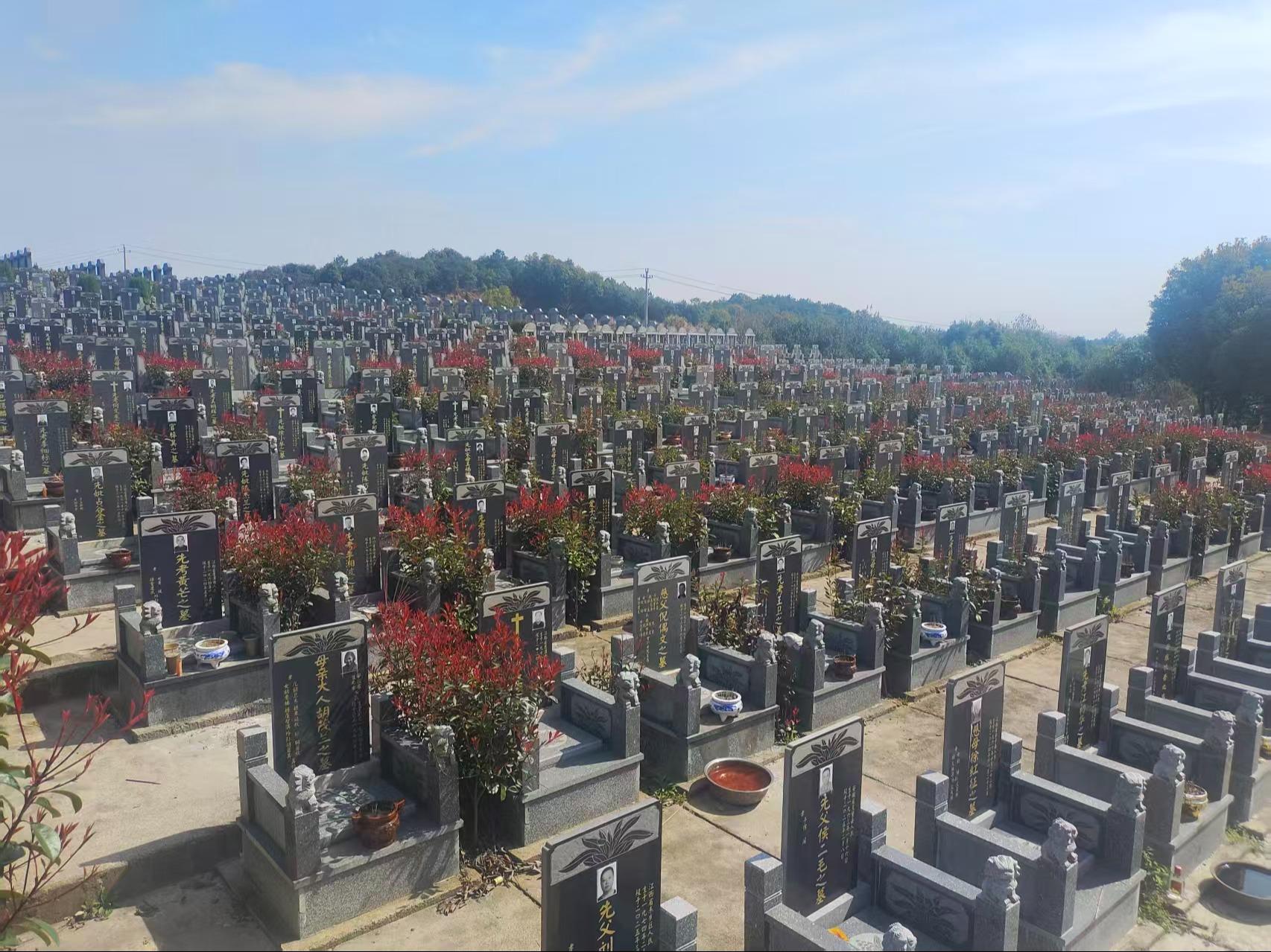 鹰潭市殡仪馆永宁园公墓园区图片