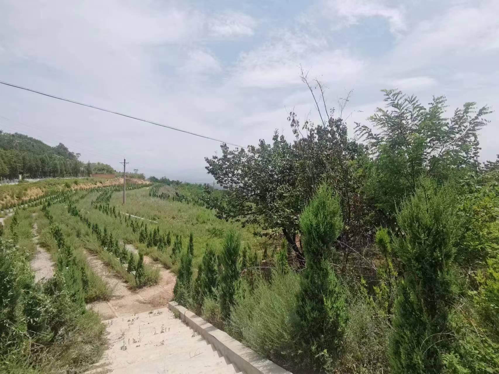 洛宁县香山公墓有限公司园区图片