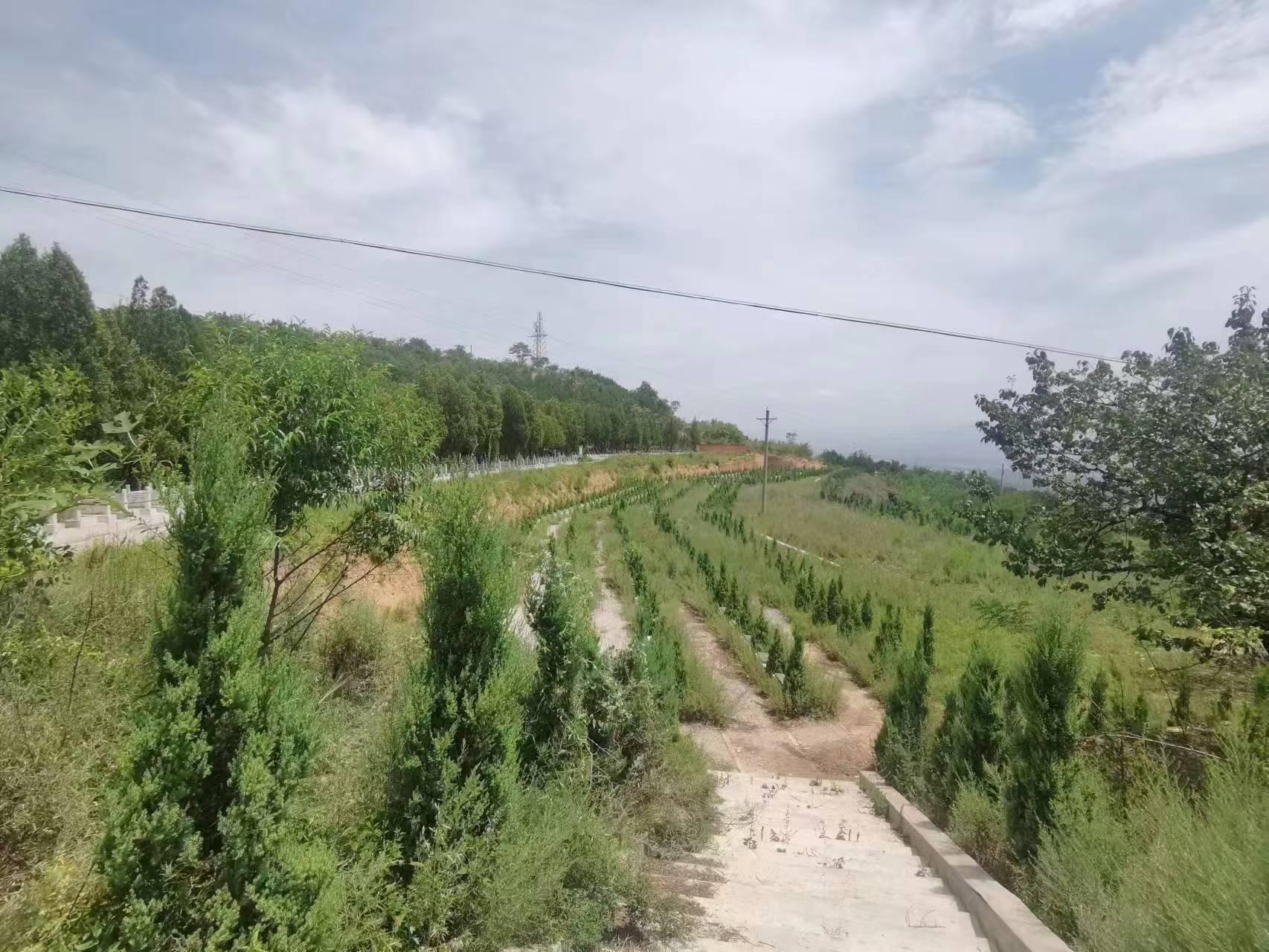 洛宁县香山公墓有限公司园区图片