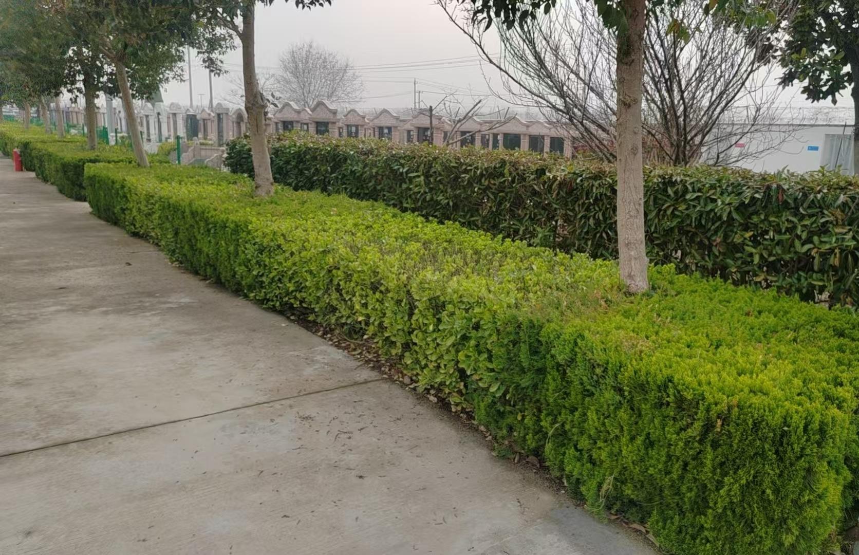 响水县福寿园公墓管理有限公司园区图片