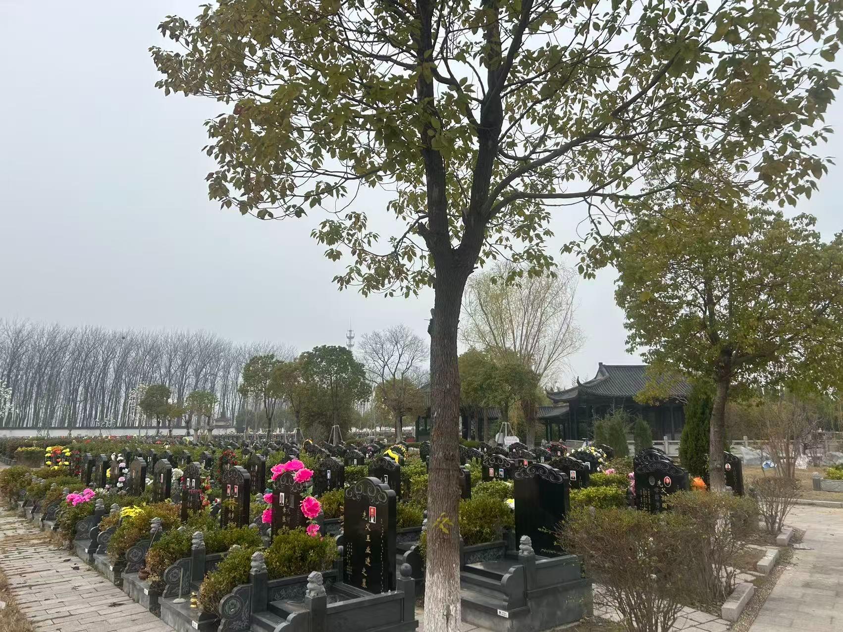 宝应县松岗墓园园区图片