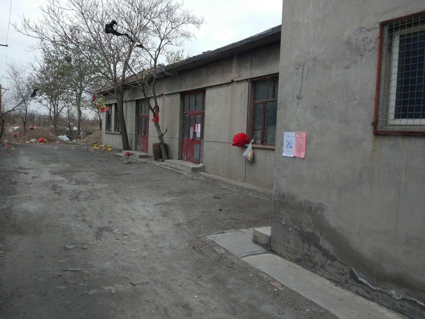 东泥沽骨灰堂园区图片