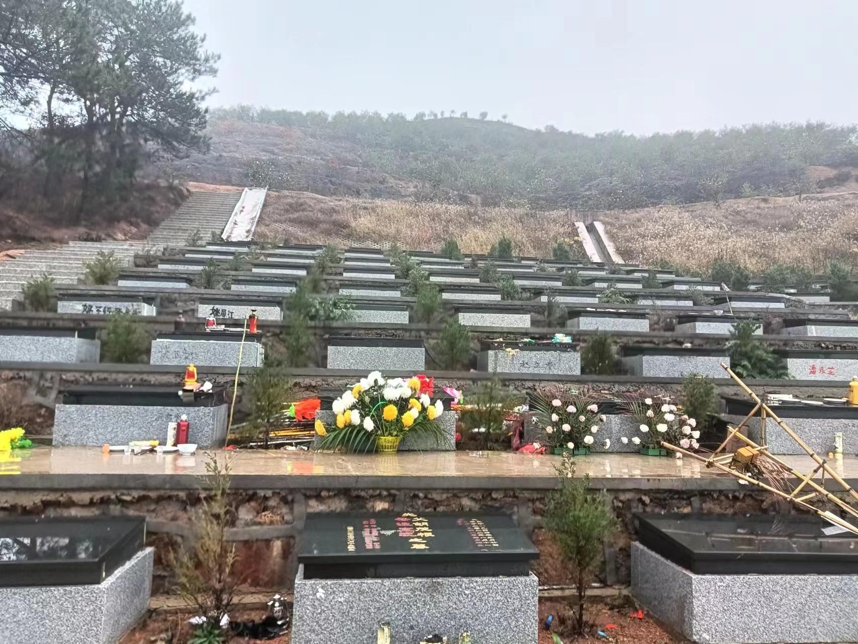 干汊河镇公益性公墓园区图片