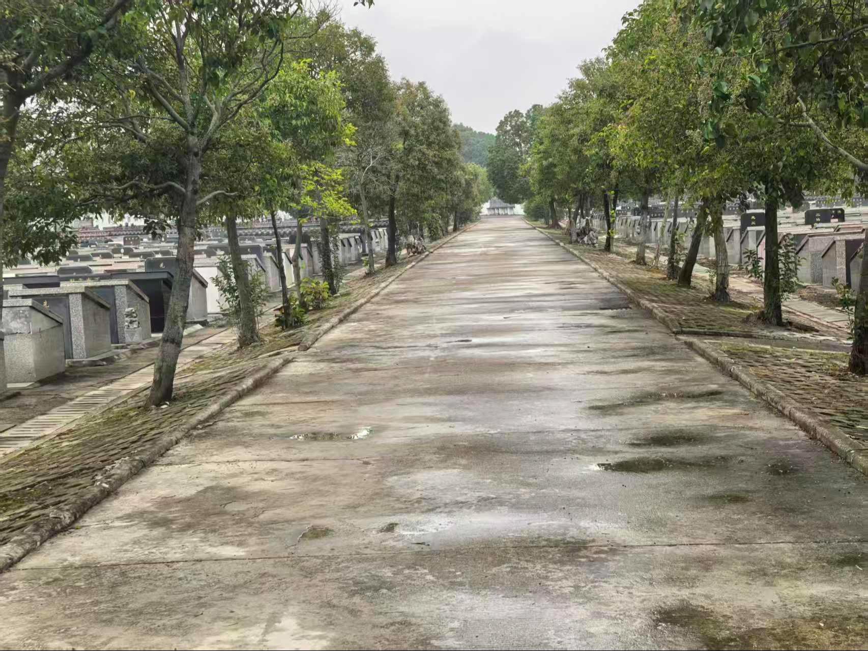 青山河陵园公益性公墓园区图片