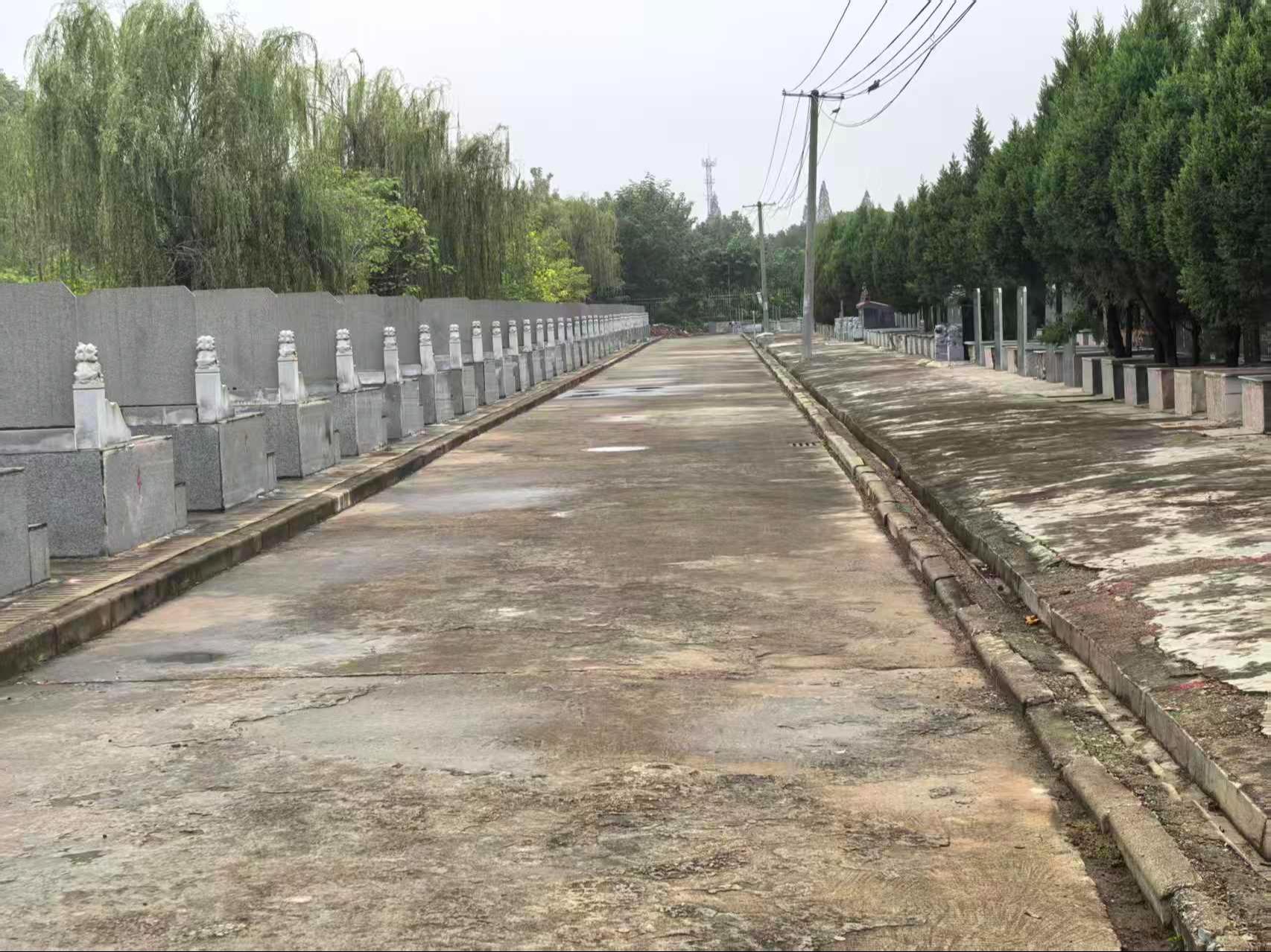 青山河陵园公益性公墓园区图片