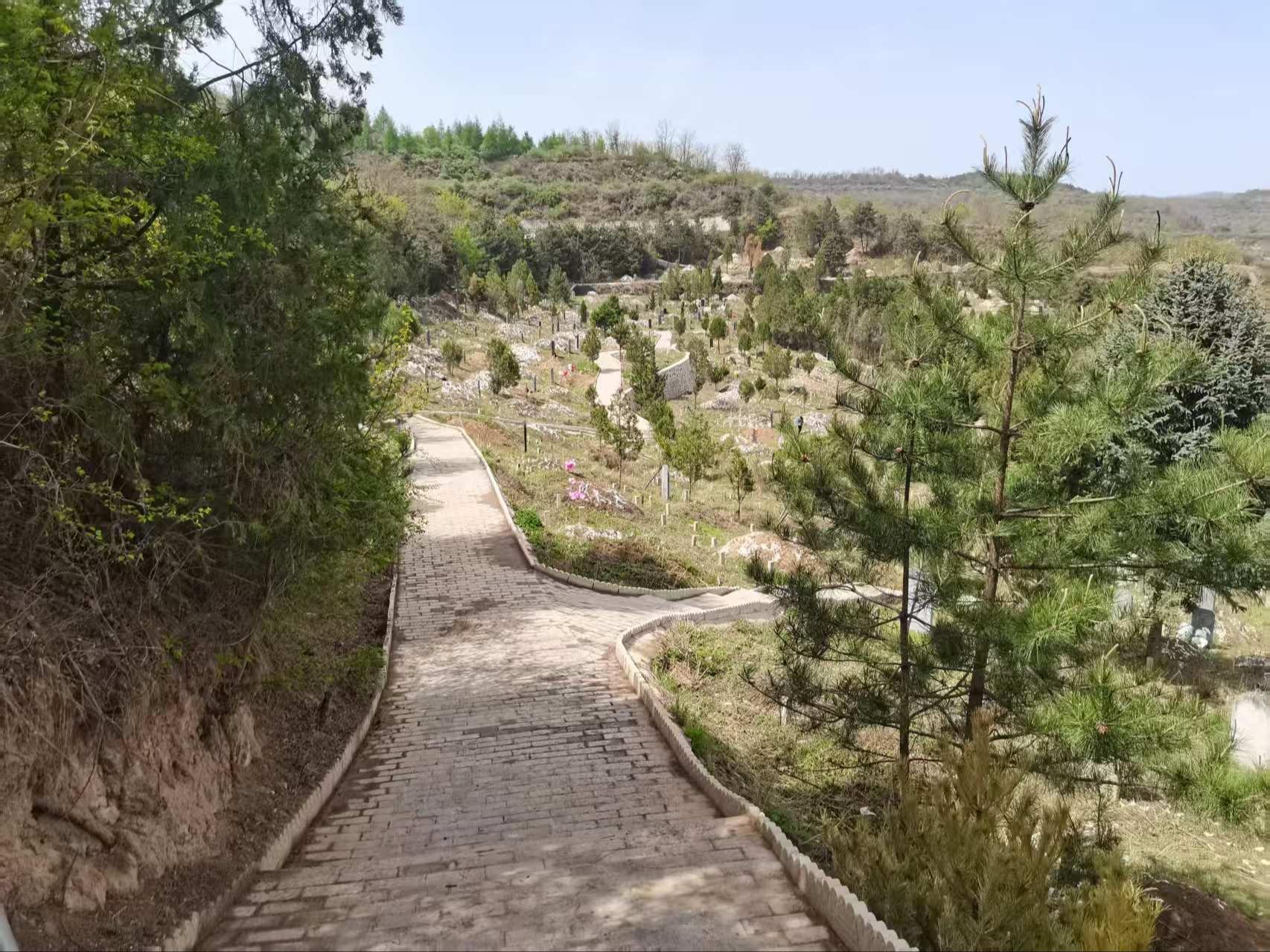 清水县南山公墓园区图片