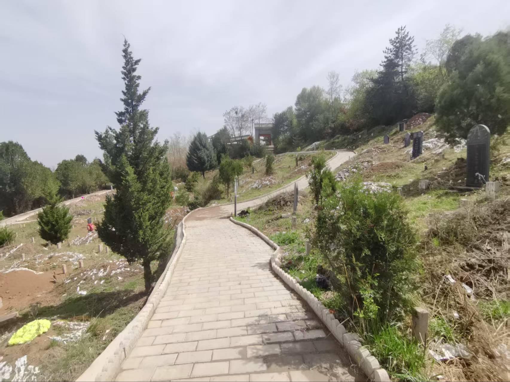清水县南山公墓园区图片