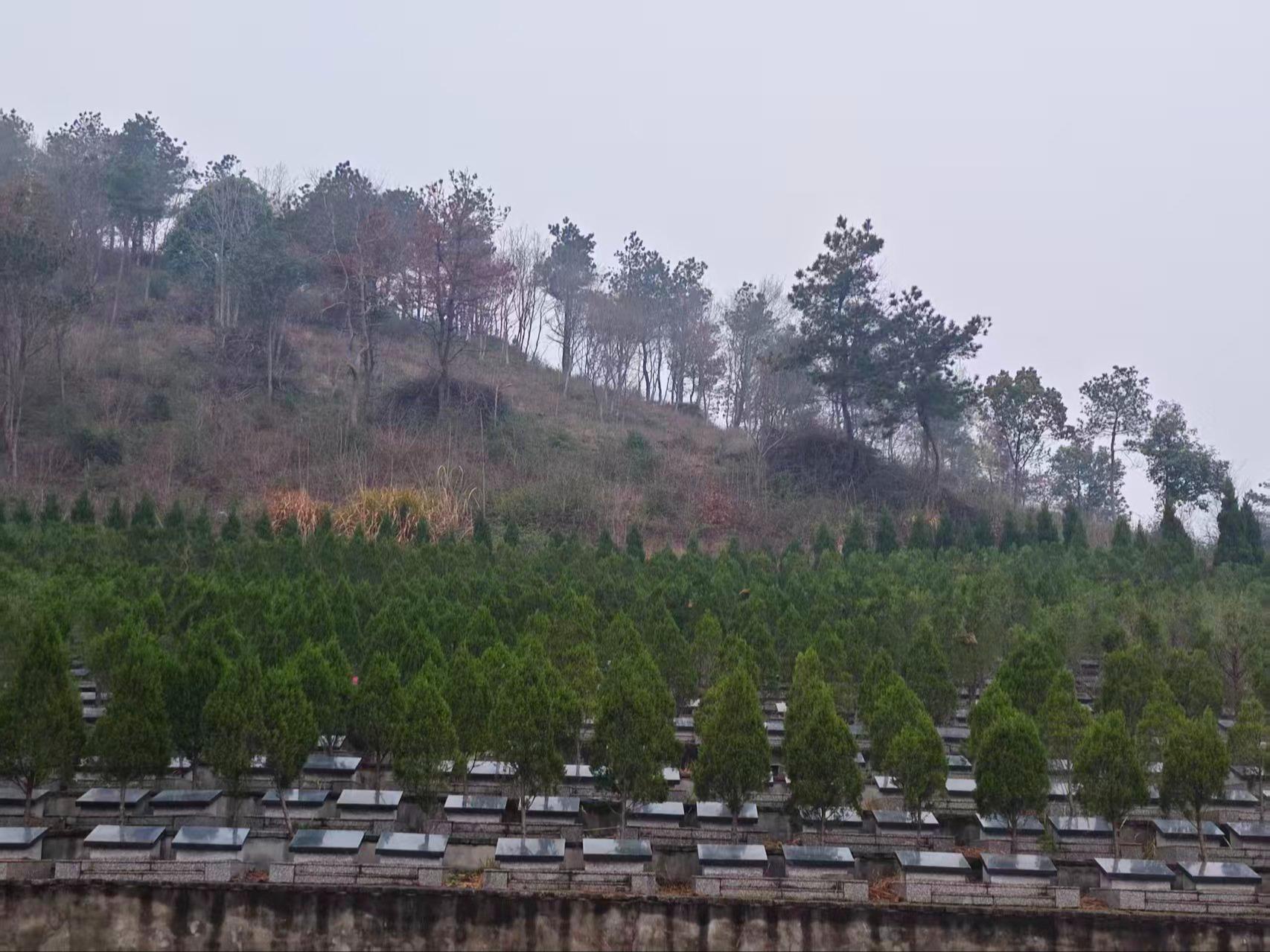 雷埠乡公益性公墓园区图片