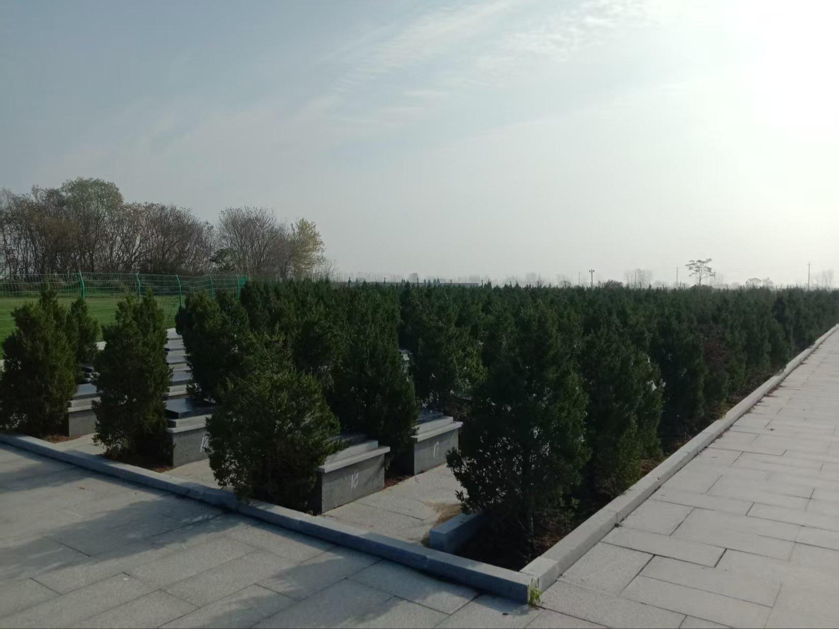 炉桥镇公益性公墓园区图片