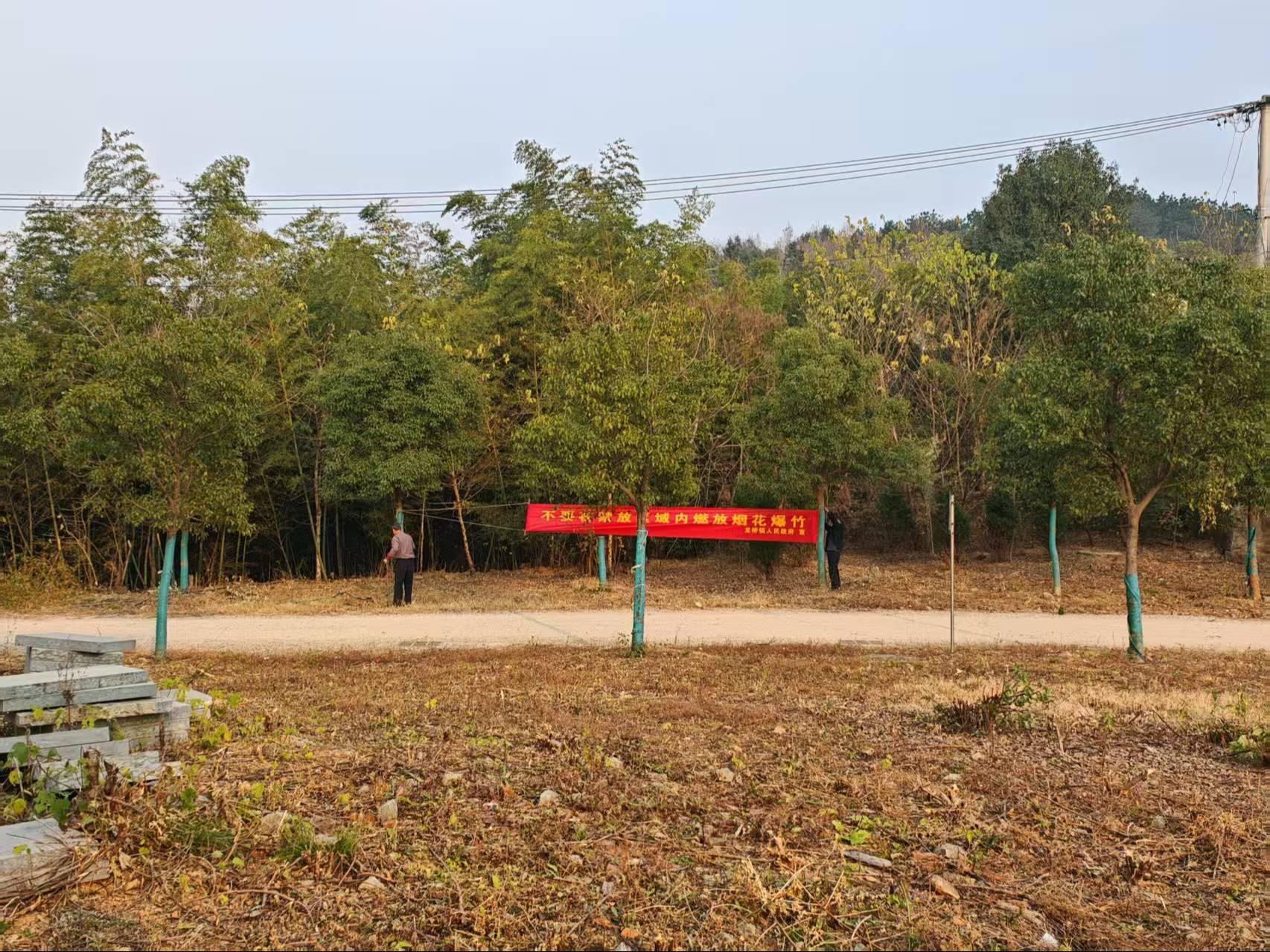 龙桥镇金洼公墓