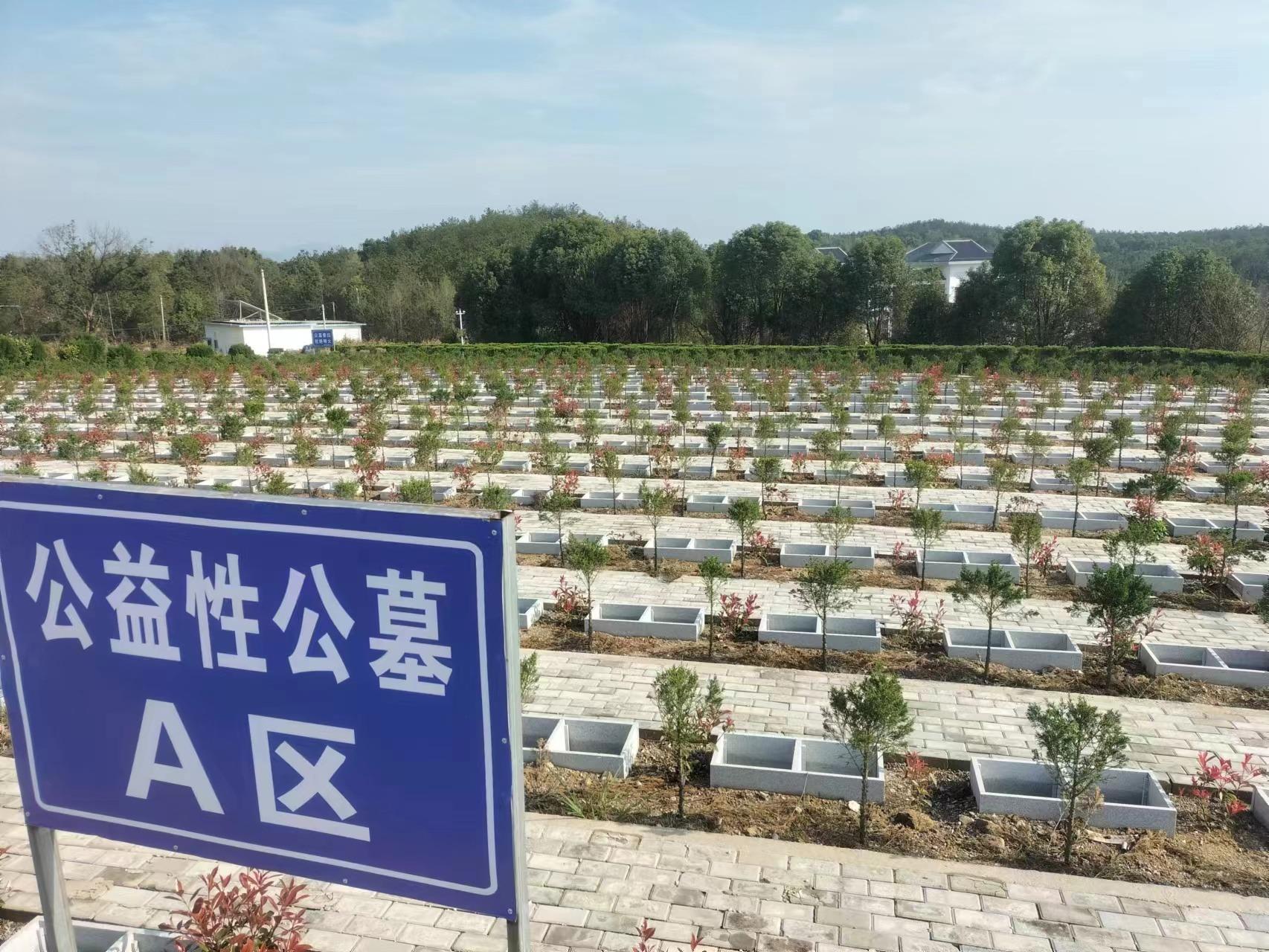 太湖县城市公益性公墓园区图片