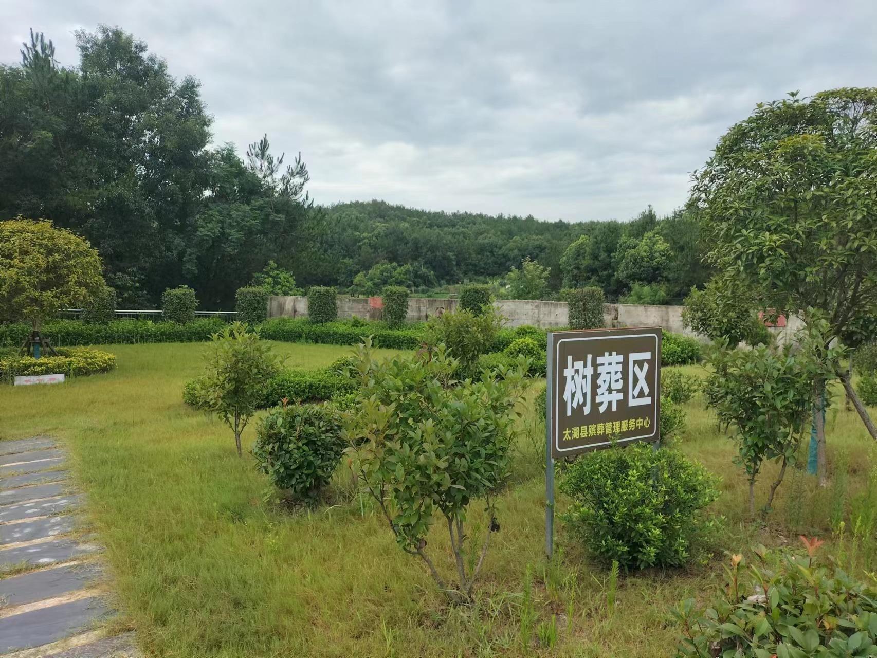 太湖县城市公益性公墓园区图片