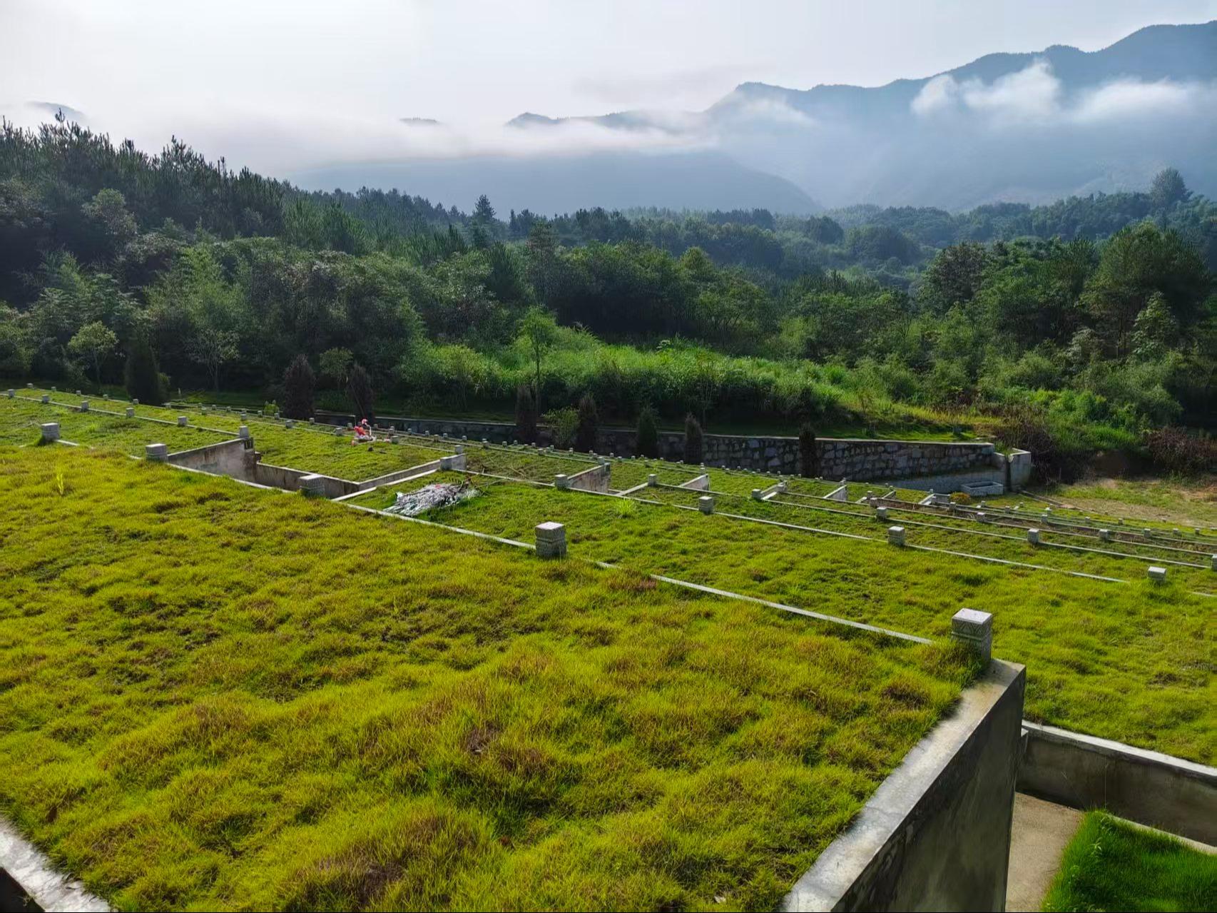 古城村谷寿园公墓园区图片