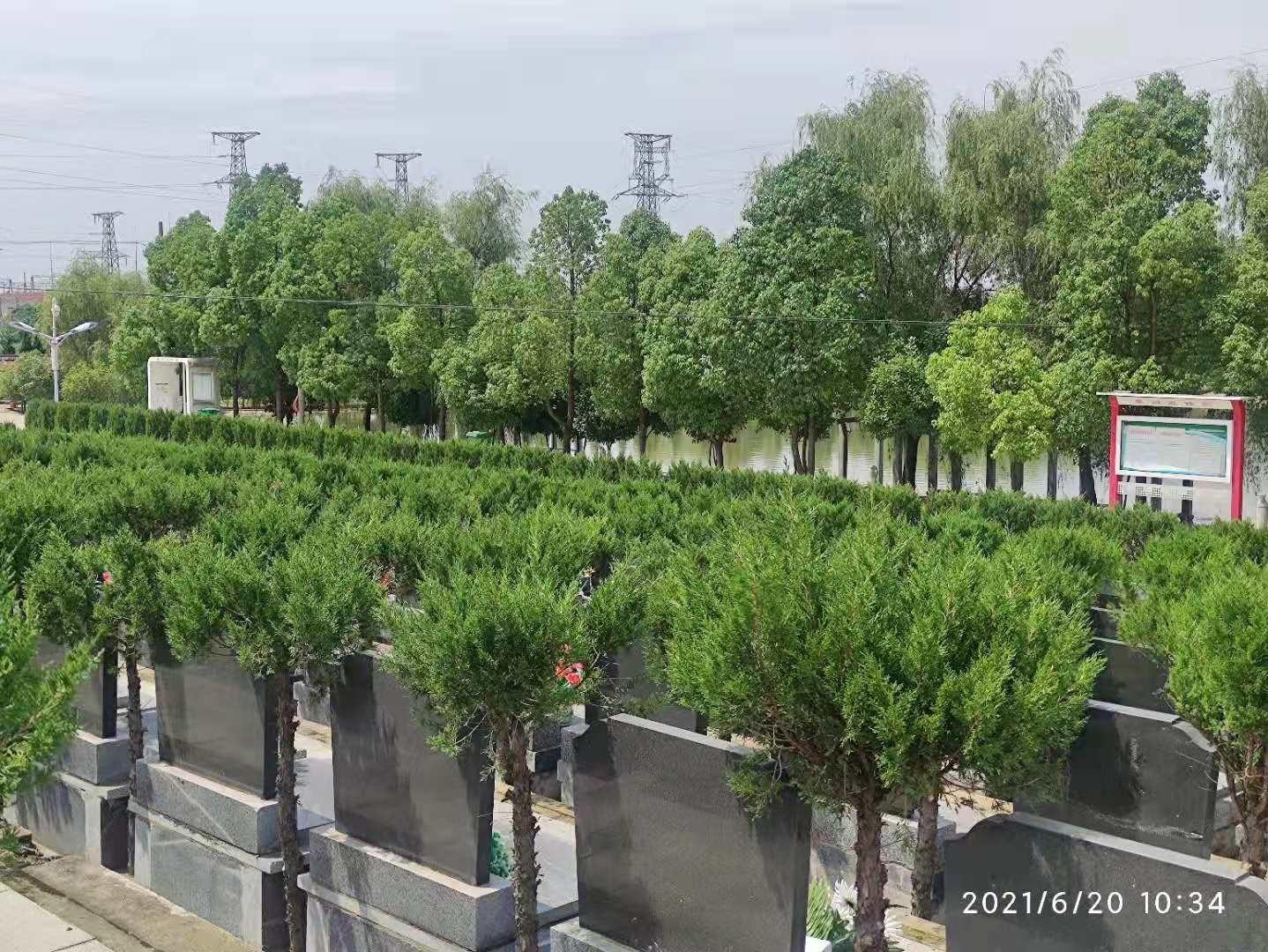 江家店镇卧龙山公益性公墓园区图片