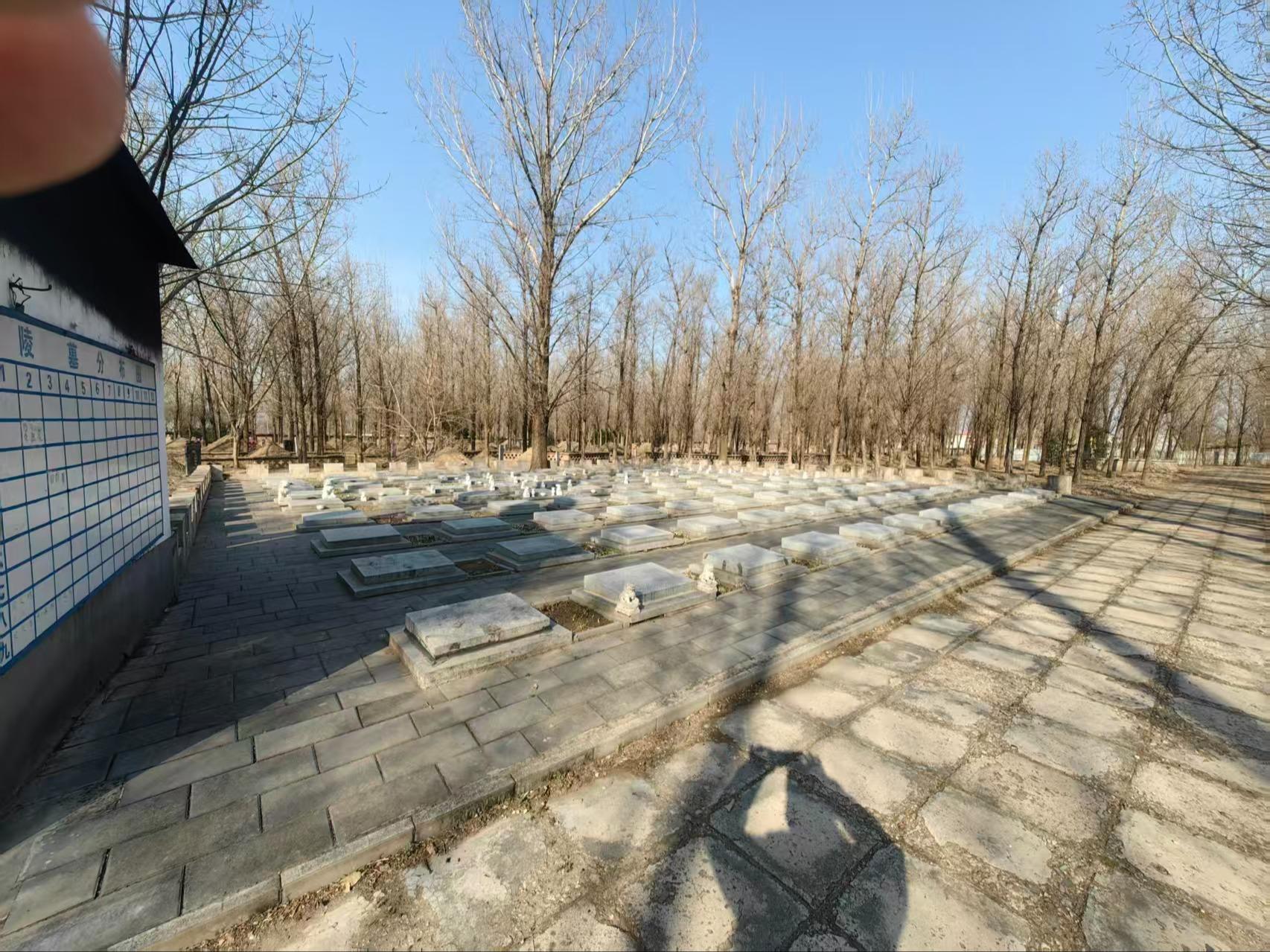 后桑园村公益性公墓园区图片