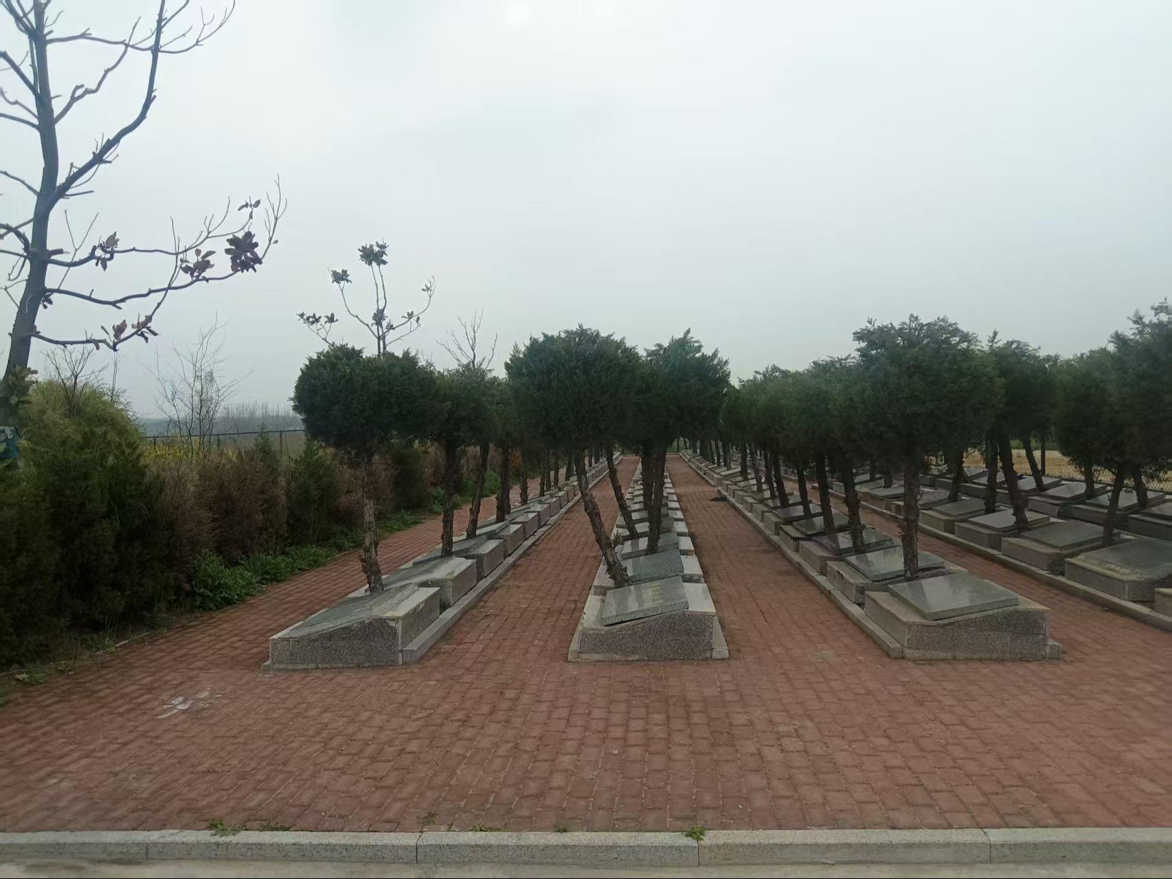 拂晓乡公益性公墓园区图片