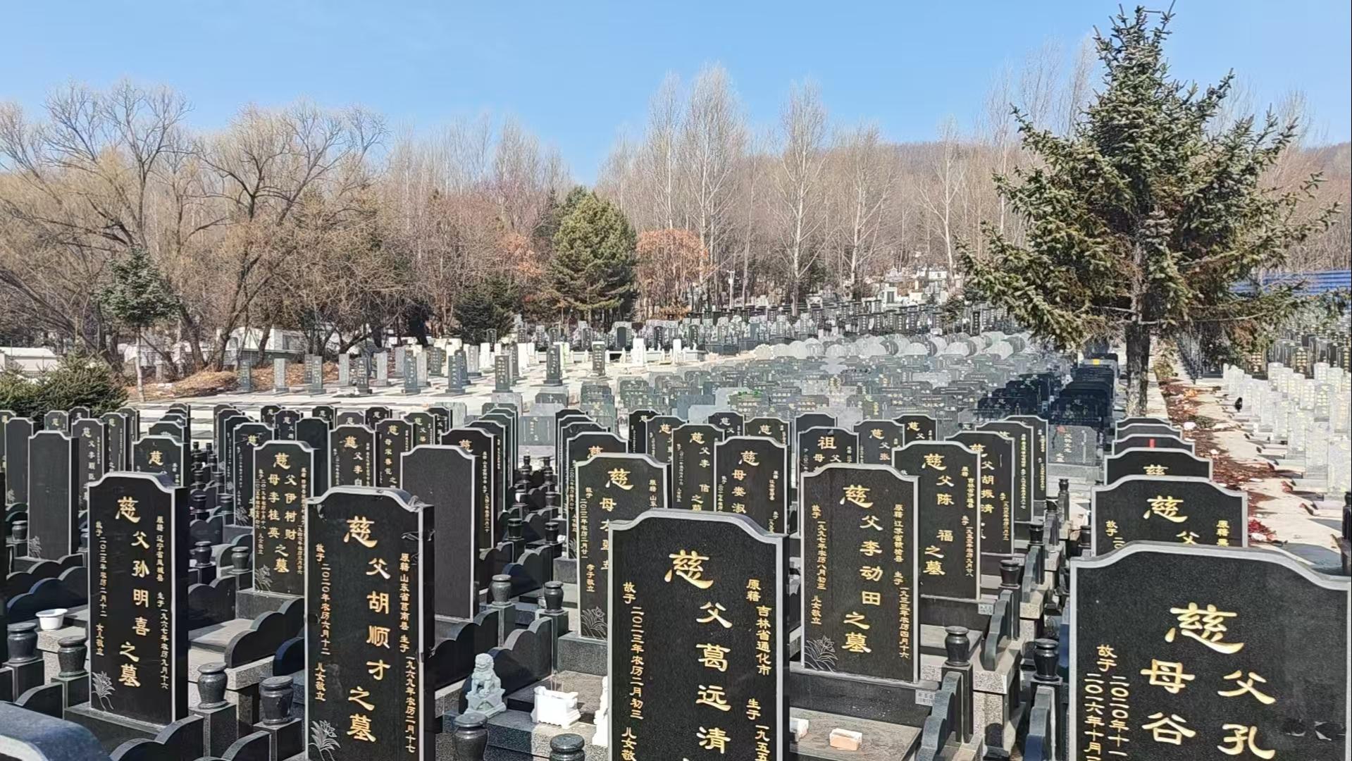 七台河市金龙公墓园区图片