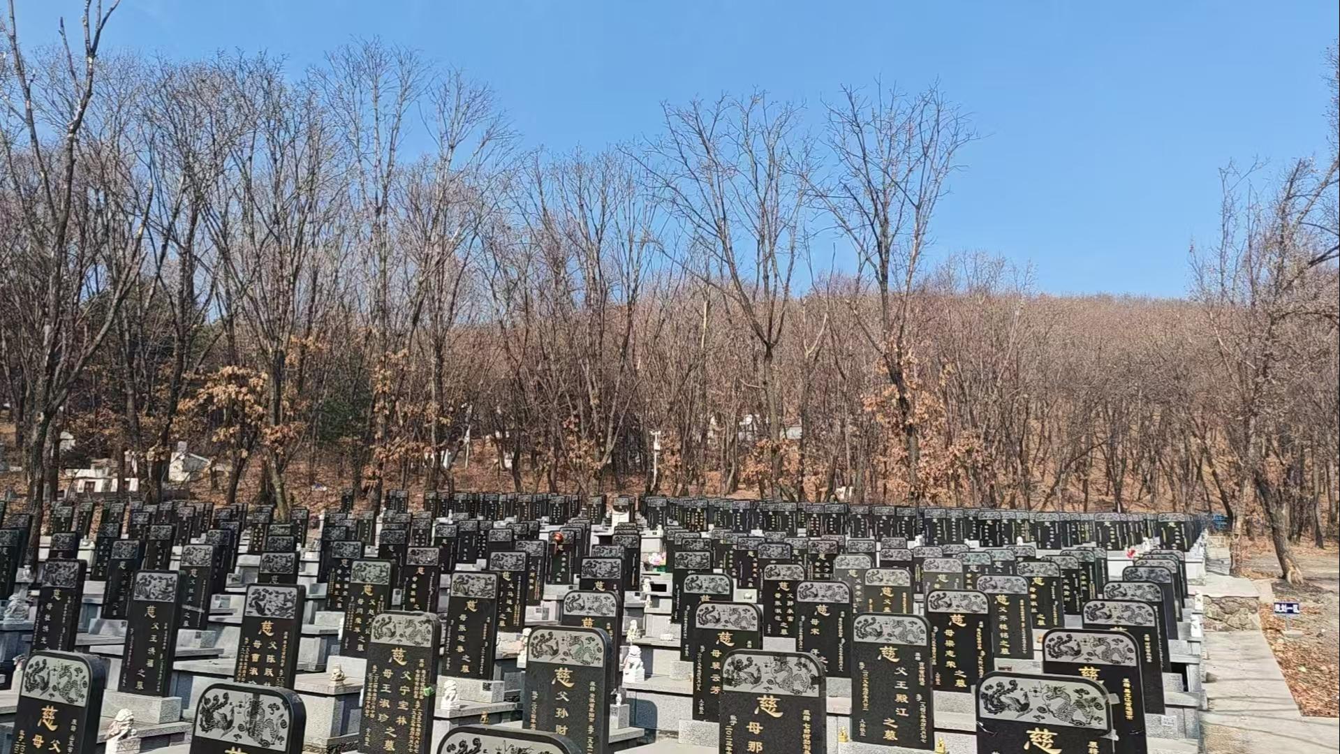 七台河市金龙公墓园区图片